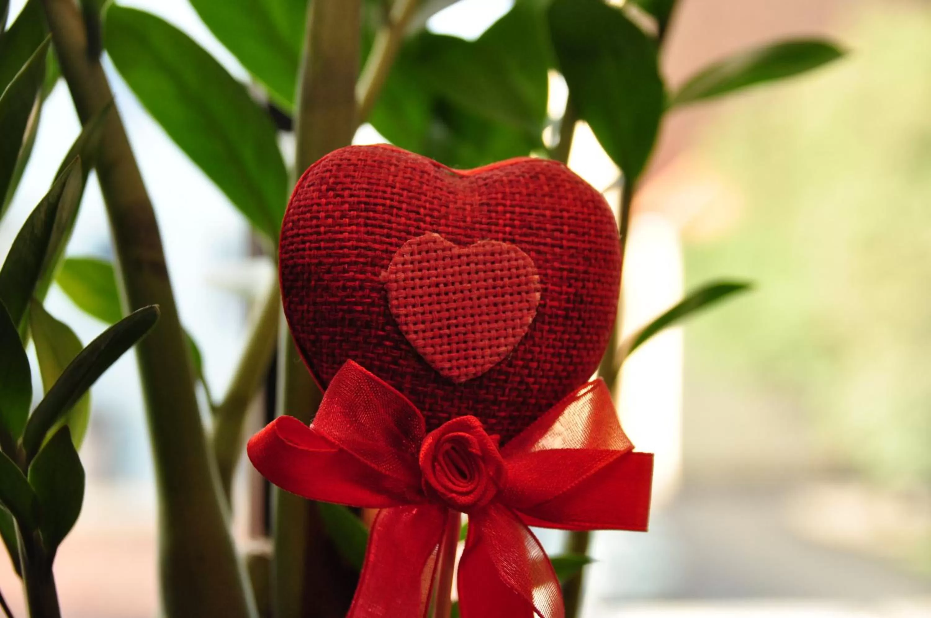 Stary Spichrz Kawiarnia & Noclegi