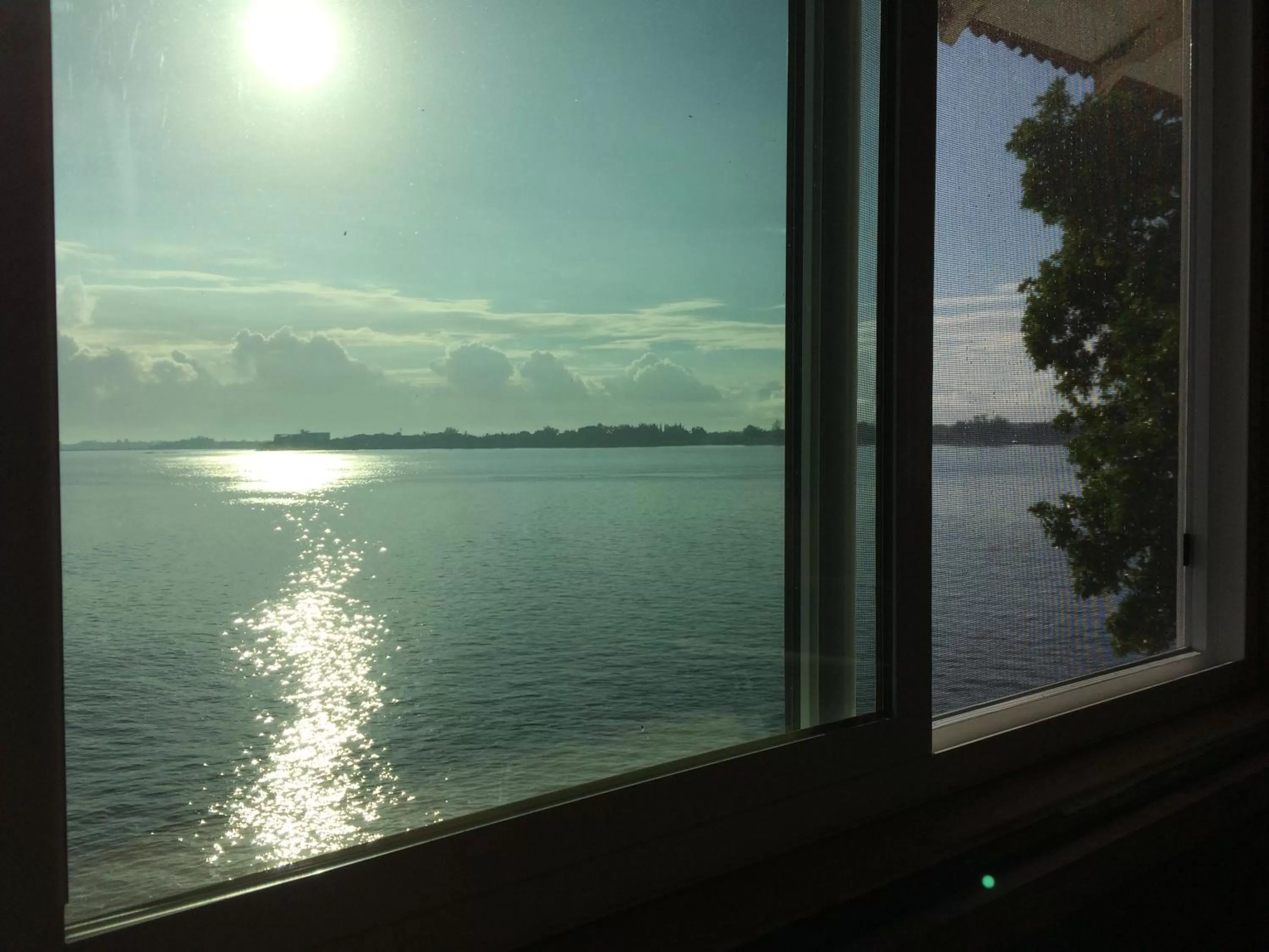 Sea view in Hilo Bay Oceanfront Bed and Breakfast