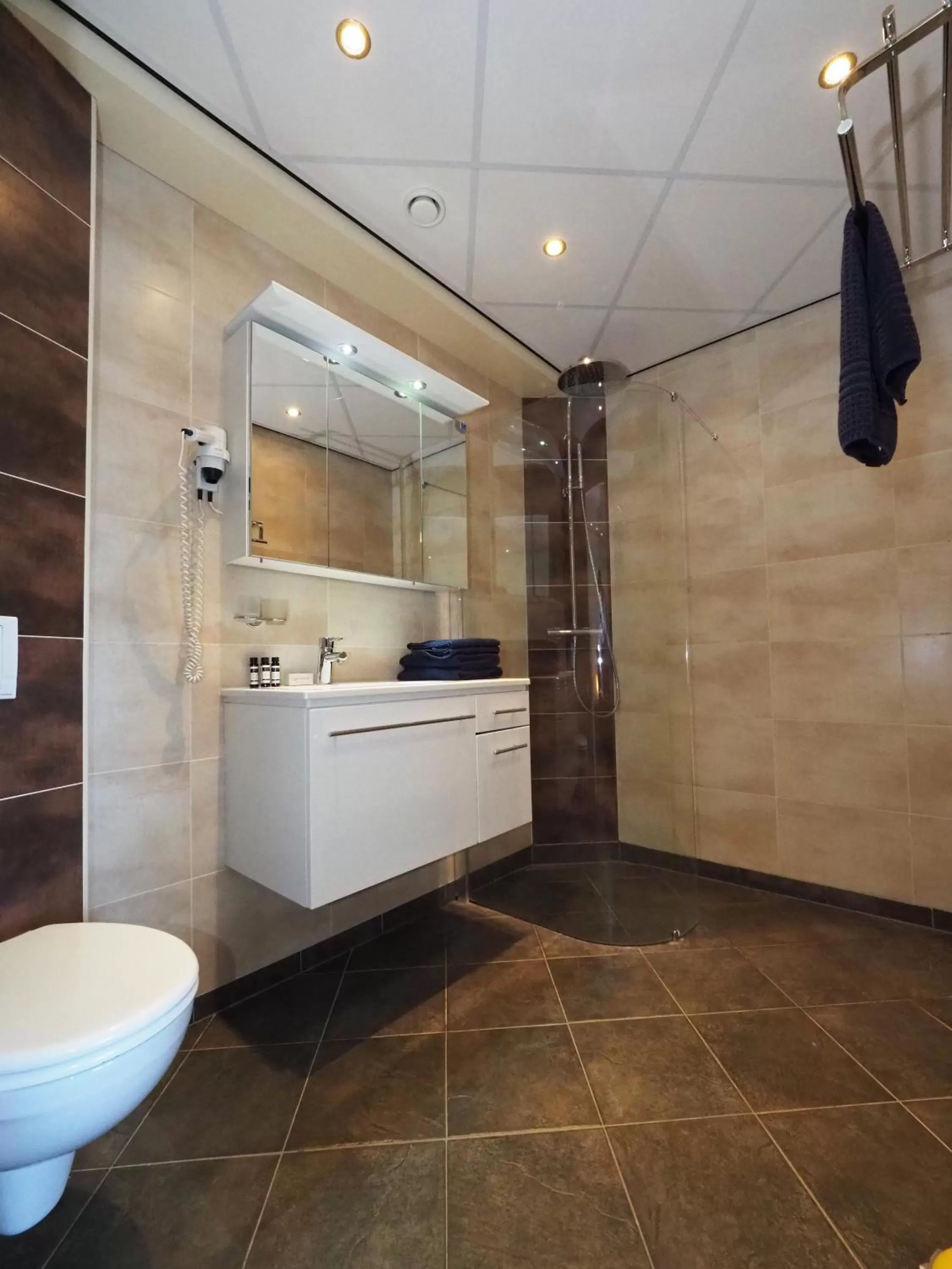 Bathroom in Hotel Workum