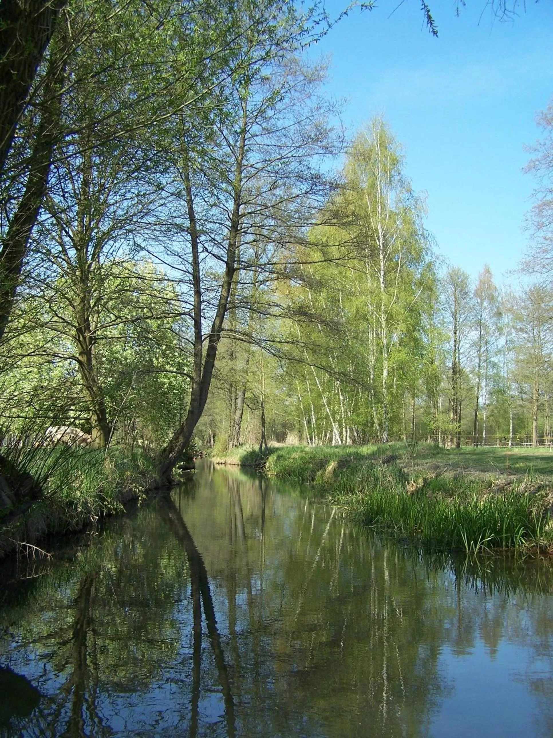Area and facilities in Hotel Zum Goldenen Löwen