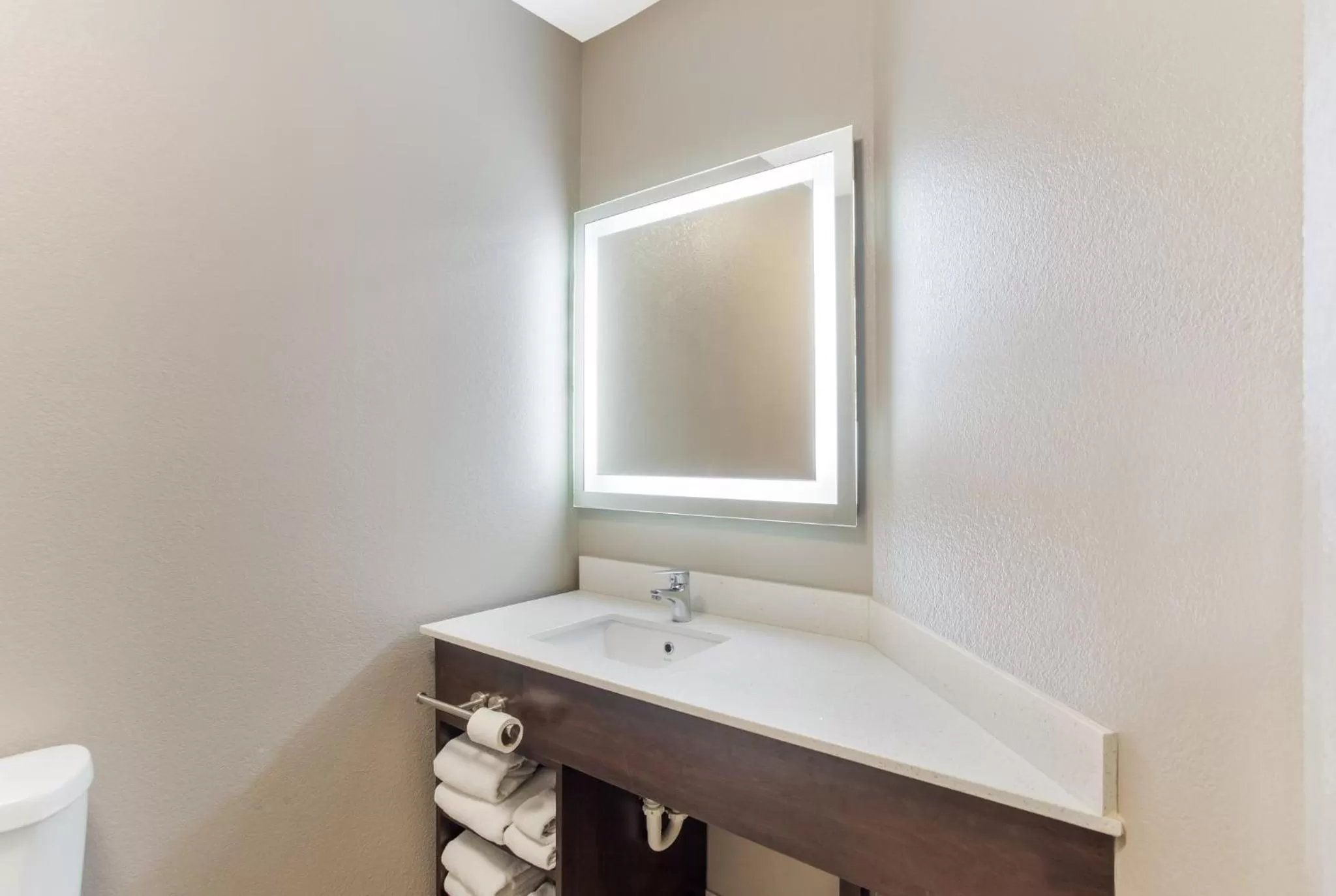 Bathroom in Red Roof Inn & Suites Corbin