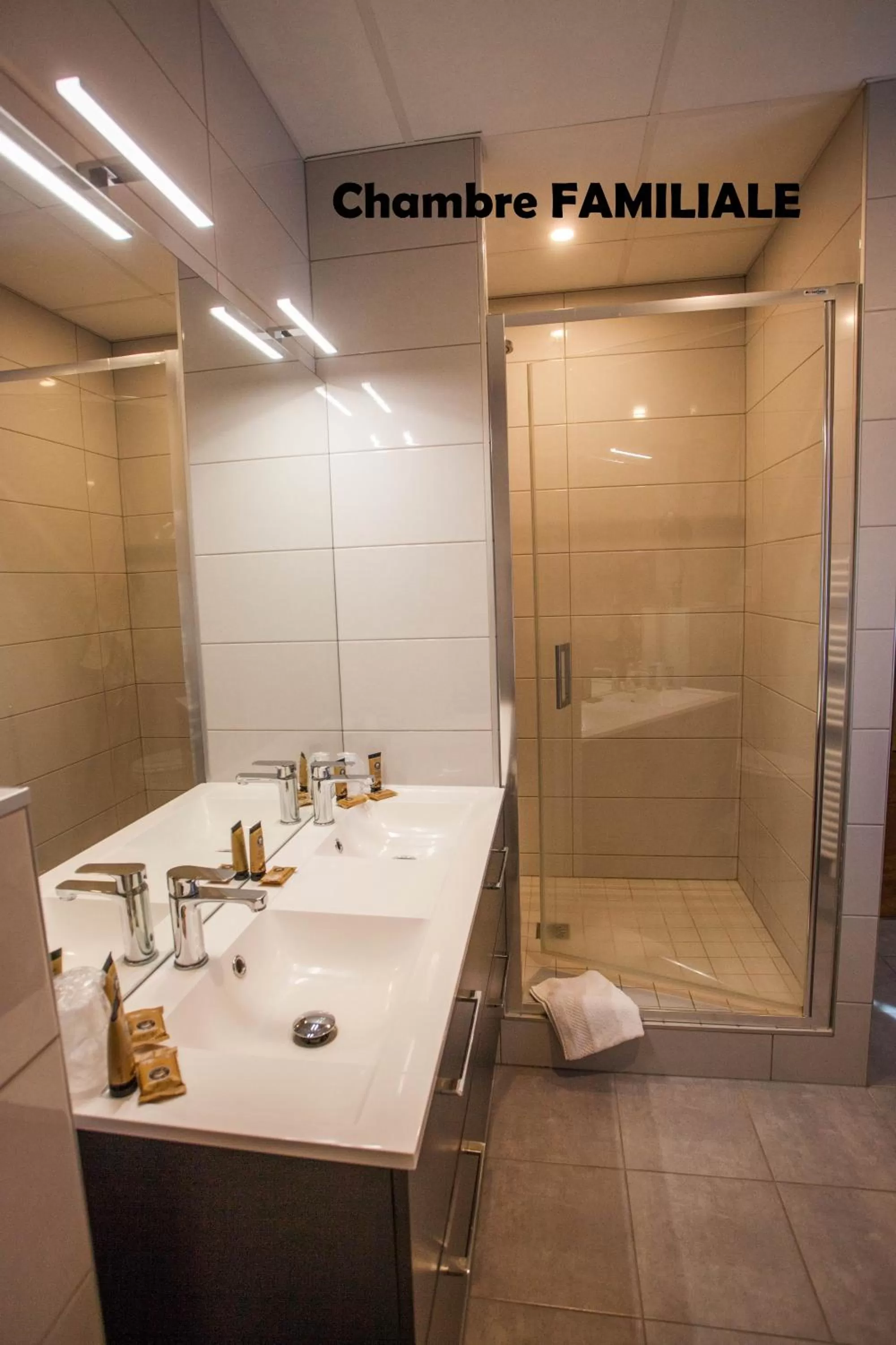 Shower in Hôtel Terminus - Pizzeria Pizz'a gogo - salle de sport - face à la gare