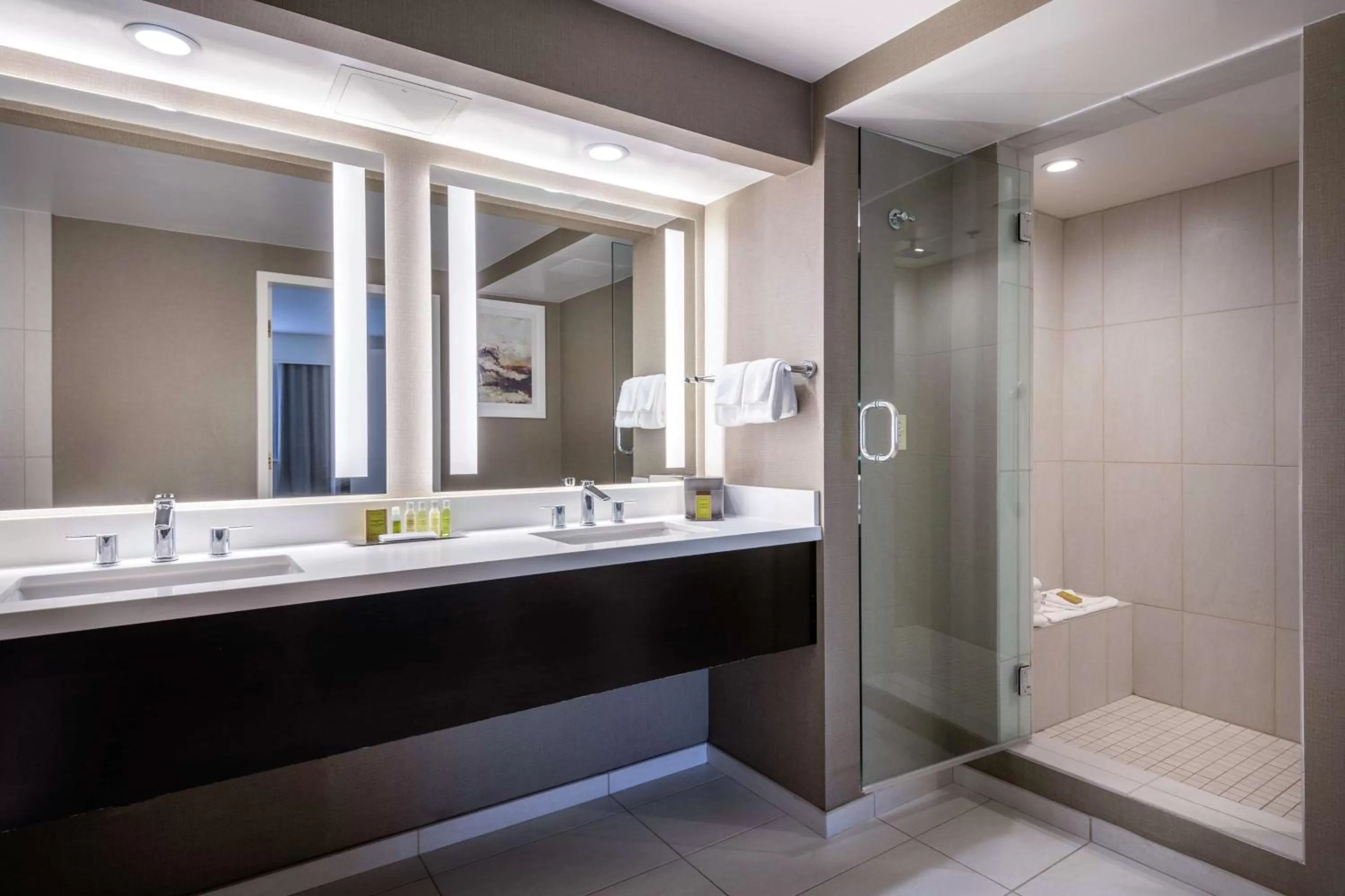 Bathroom in DoubleTree by Hilton Los Angeles Norwalk