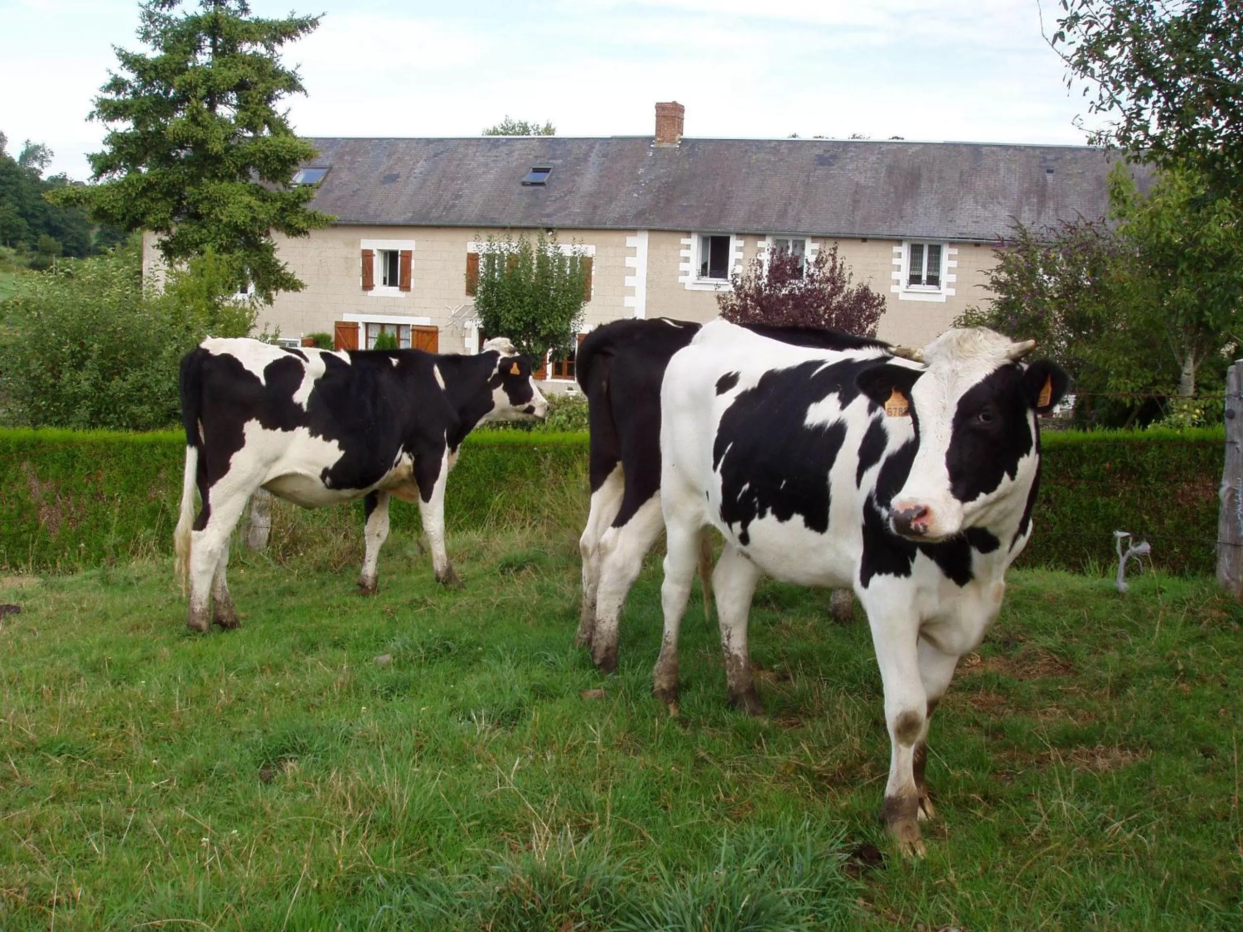 Facade/entrance in La Parisiere