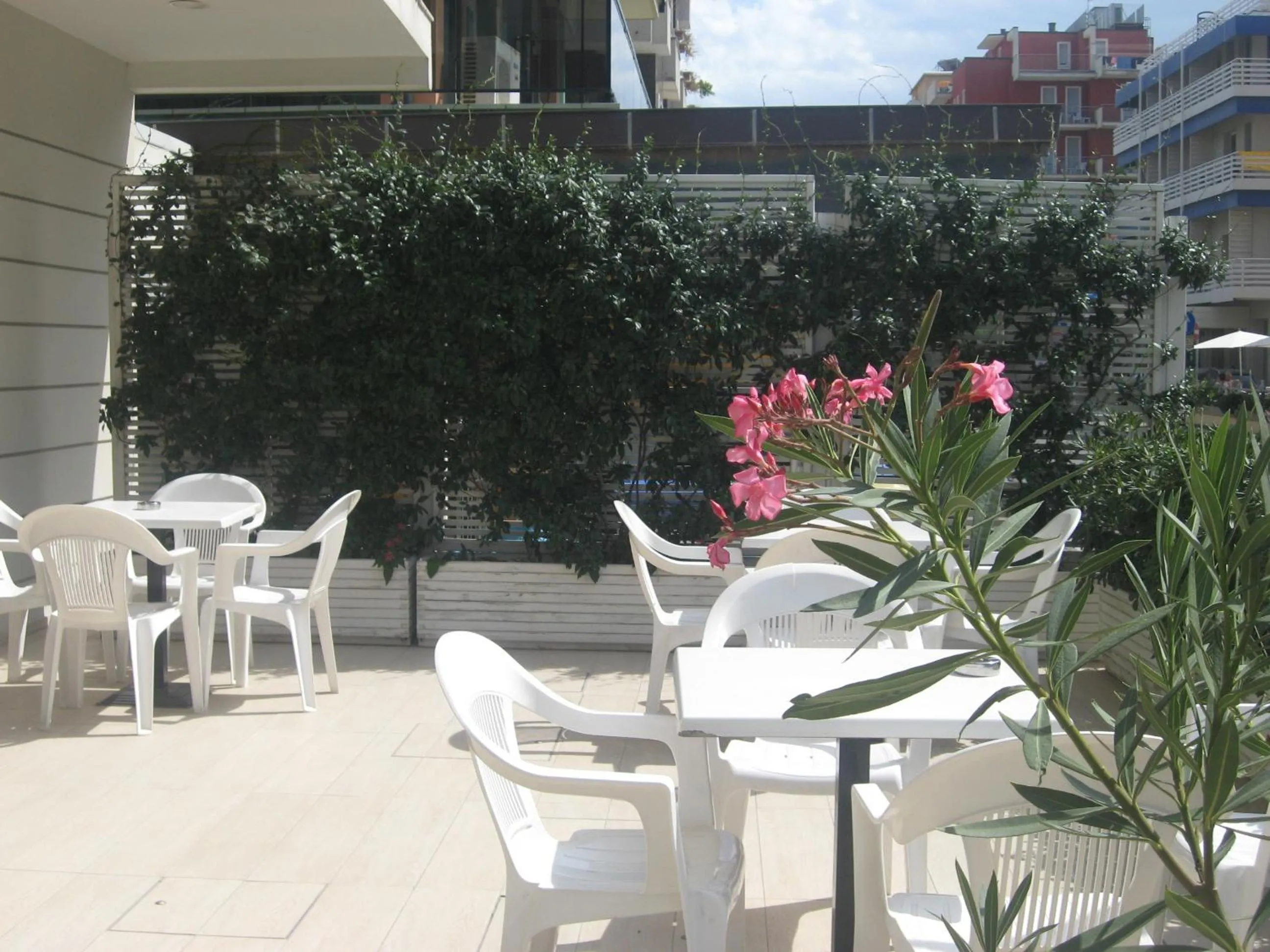 Balcony/Terrace in Hotel Cosmopolita