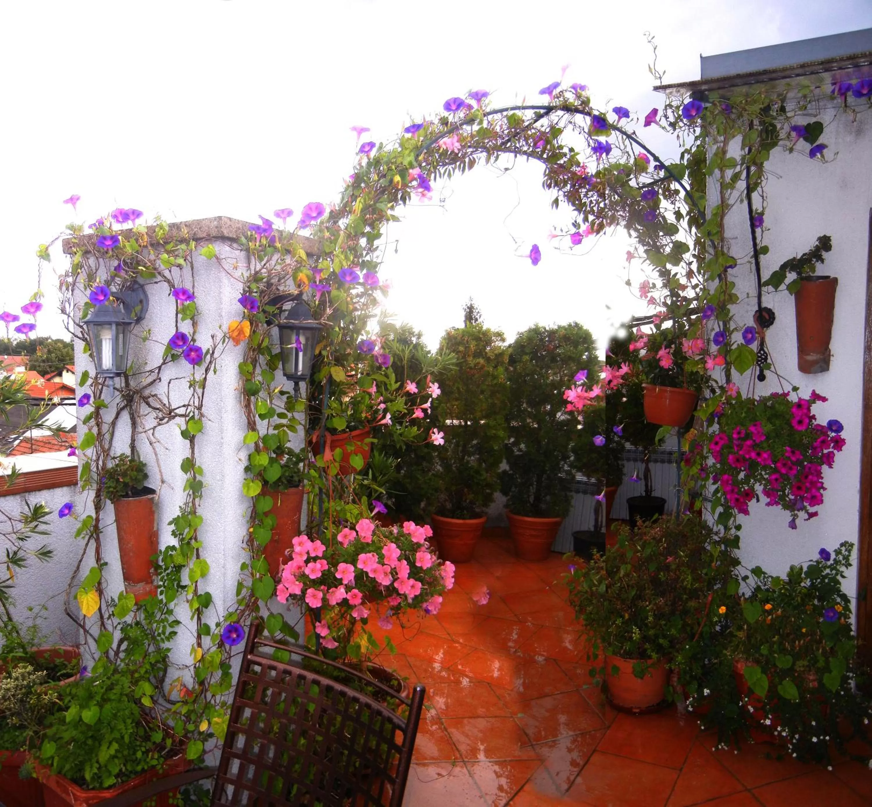 Garden in Villa Lucia - Apartments&Rooms
