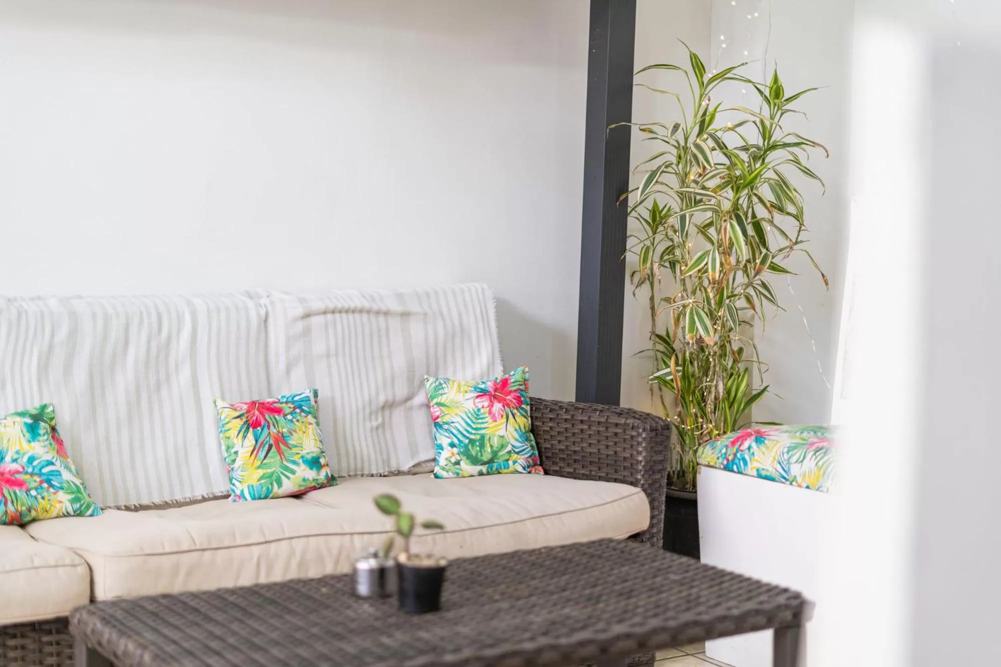 Communal lounge/ TV room in Hotel Las Colinas