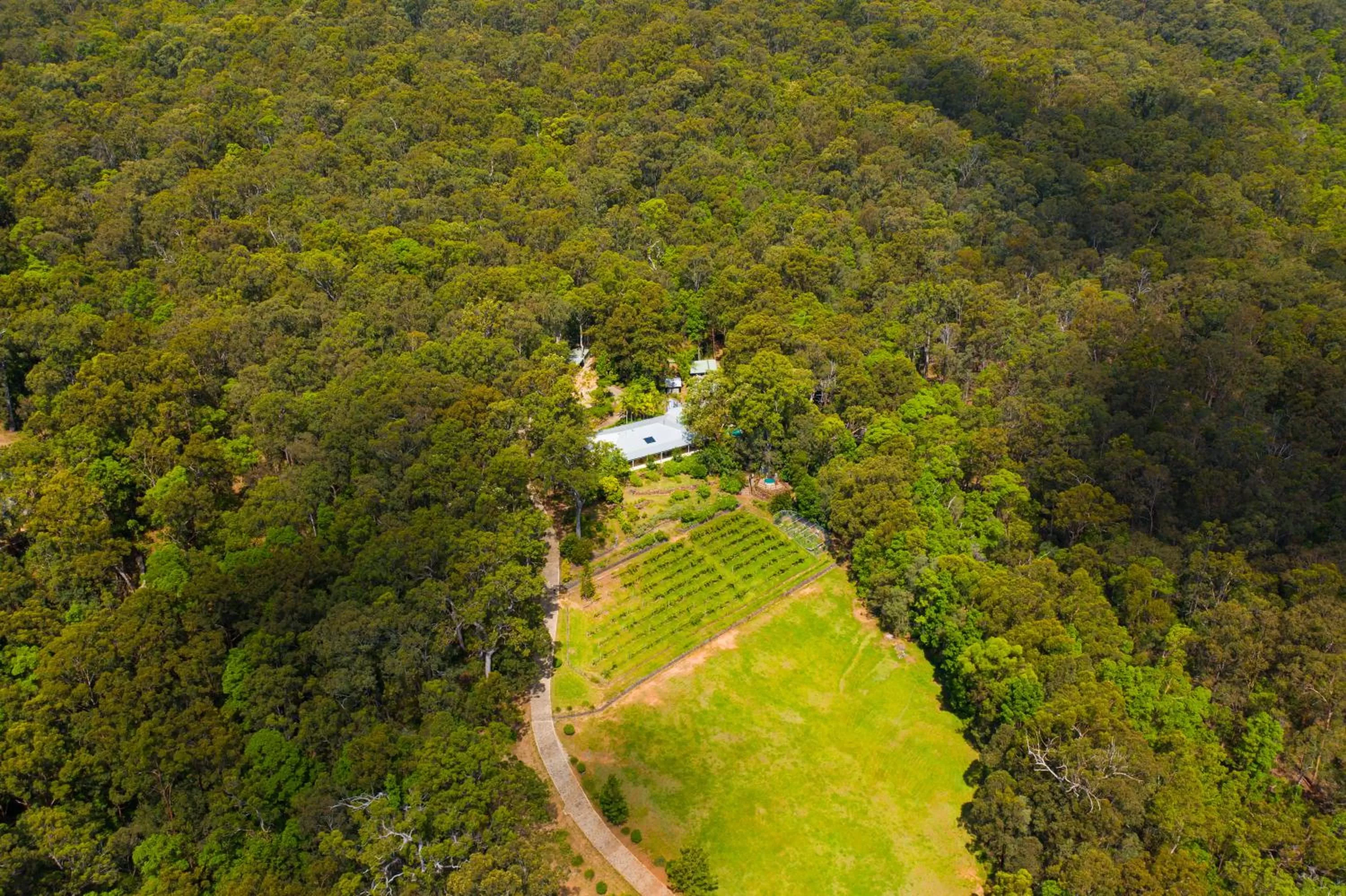 Bird's eye view in Wallaby Ridge Retreat