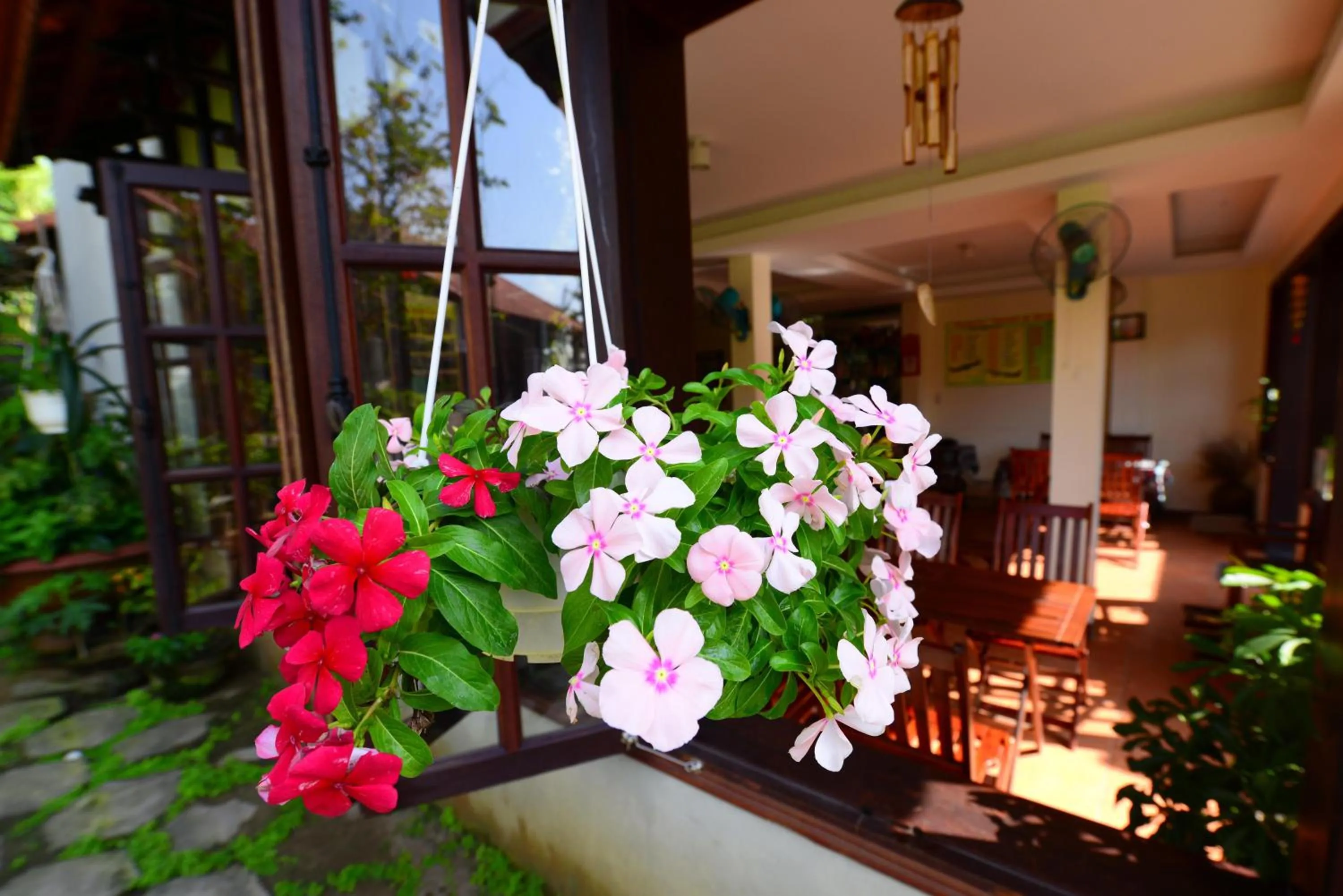 Facade/entrance in Windbell Villa Hoi An