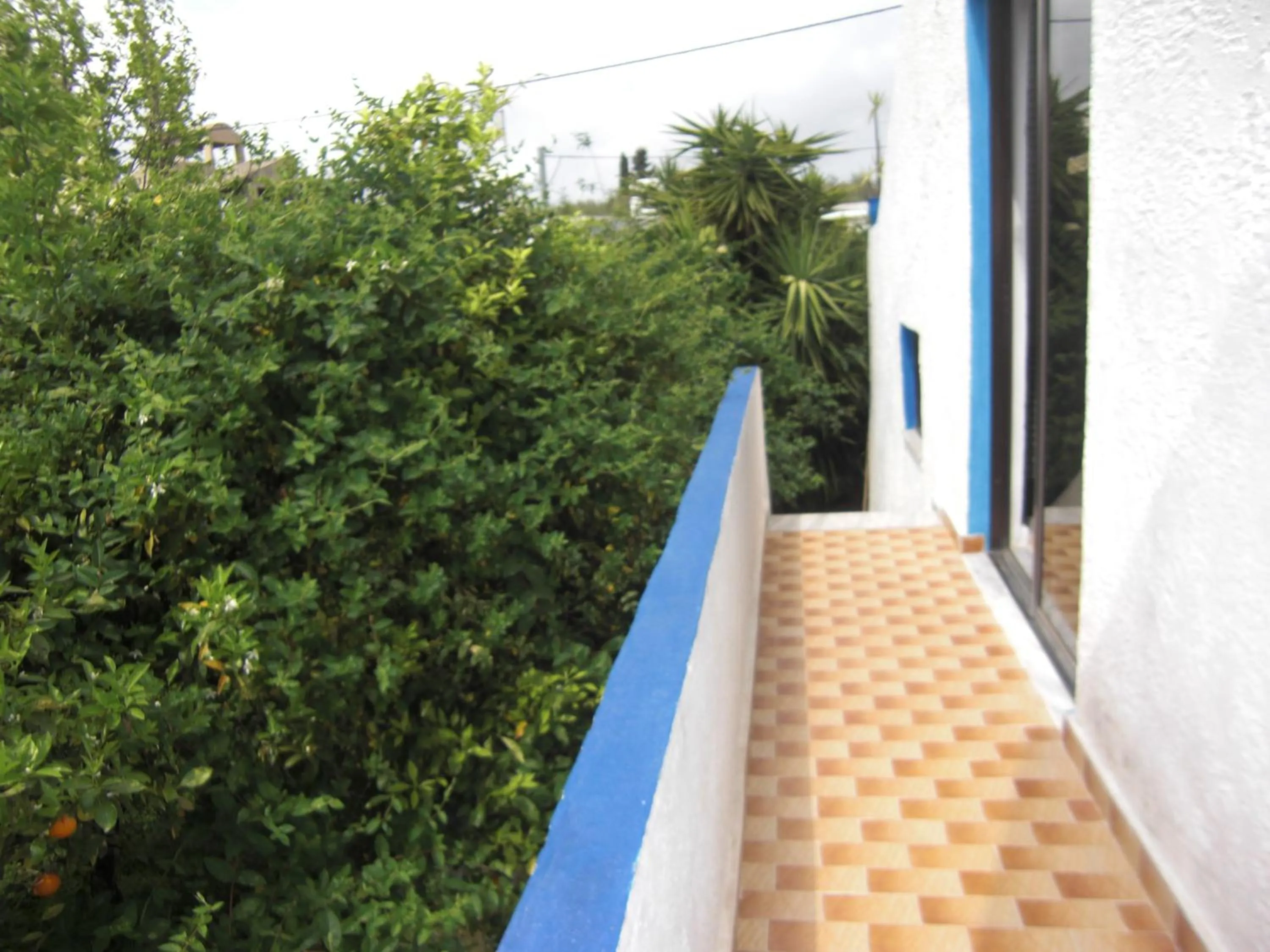 Lounge or bar in Anthula Sun