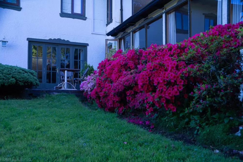 Property Building in Hotel El Ciervo