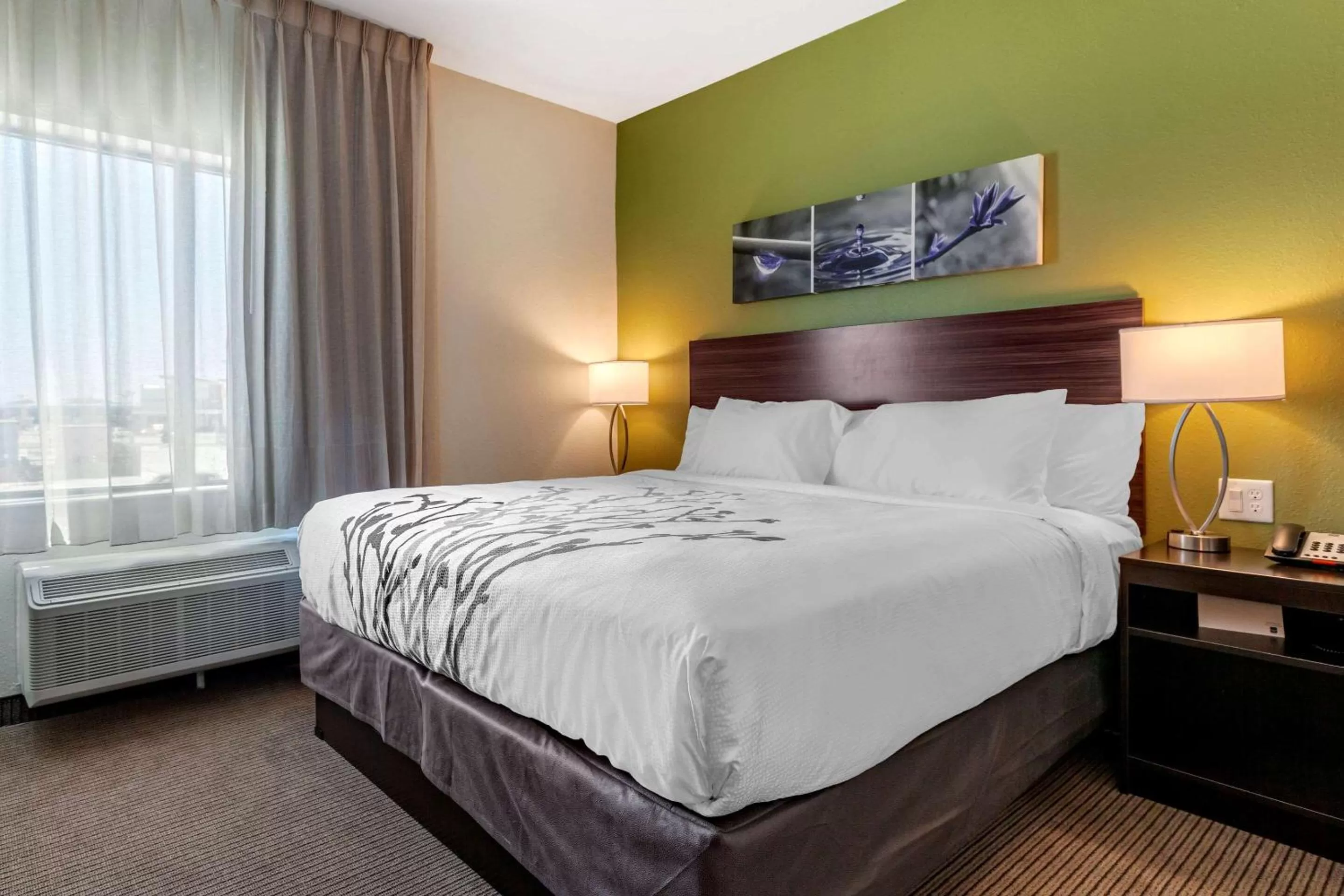 Photo of the whole room in Sleep Inn & Suites Waller