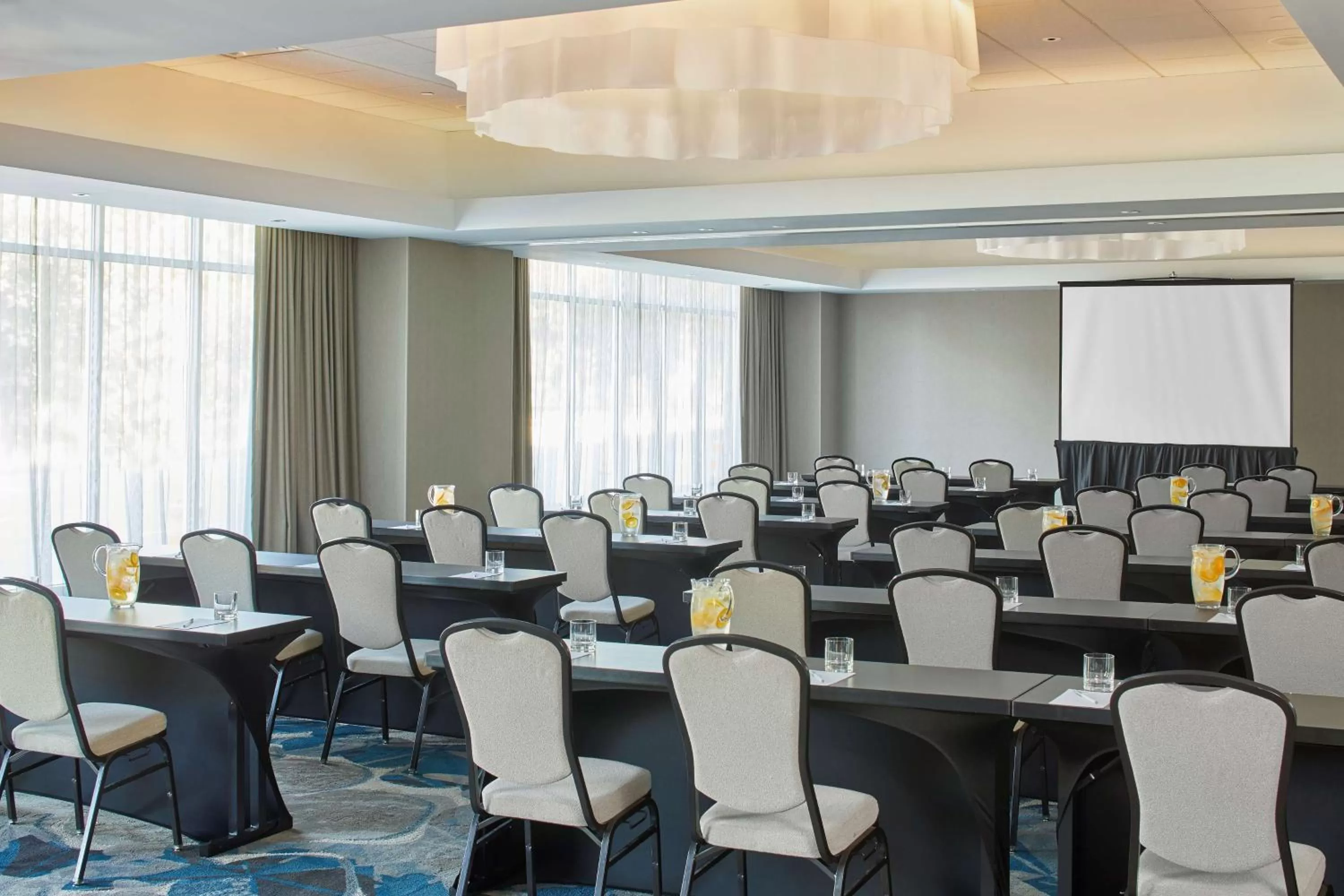 Meeting/conference room in Hilton Garden Inn Rochester - University & Medical Center