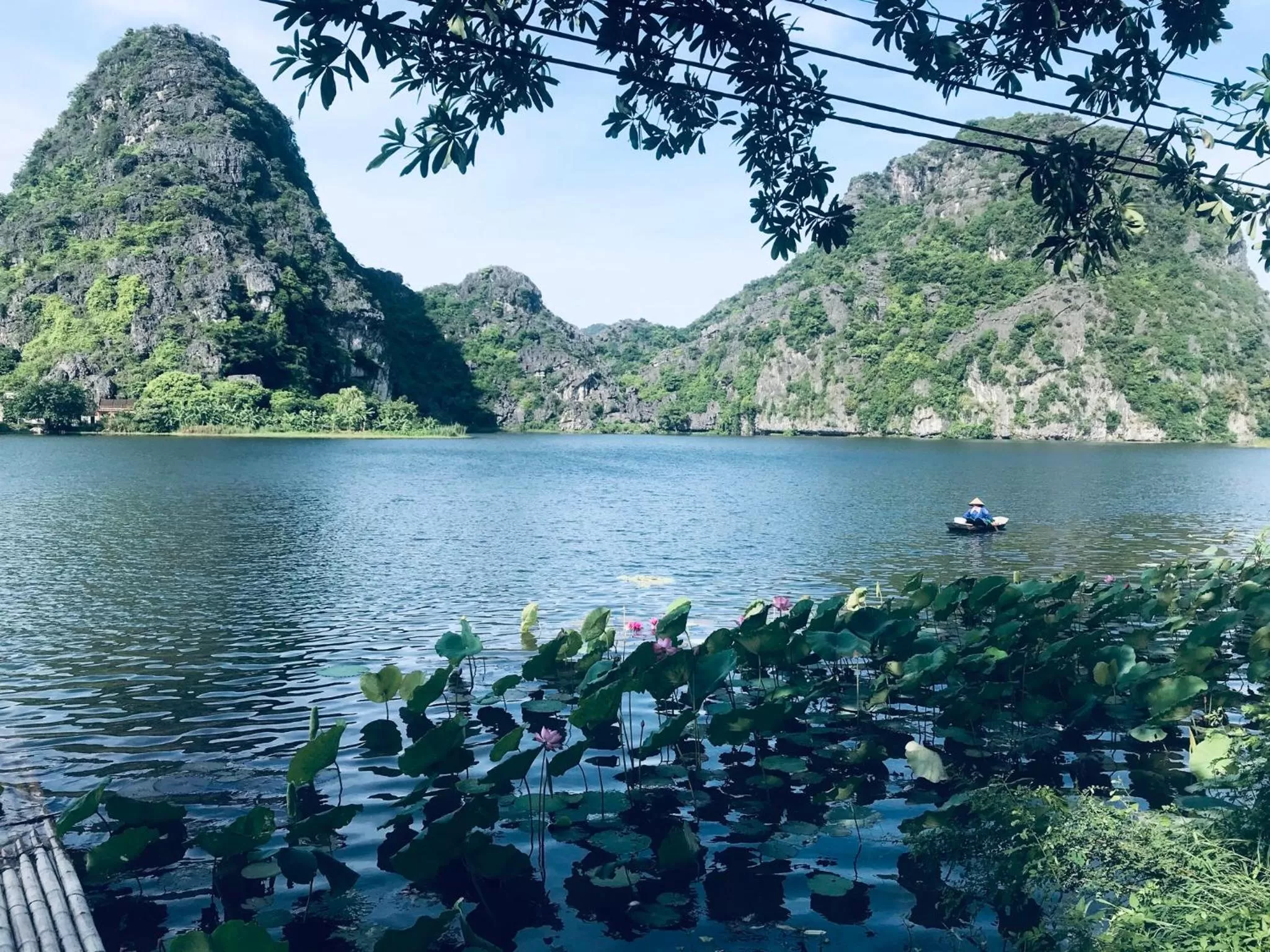 Natural landscape in Trang An Lotus Lake Homestay