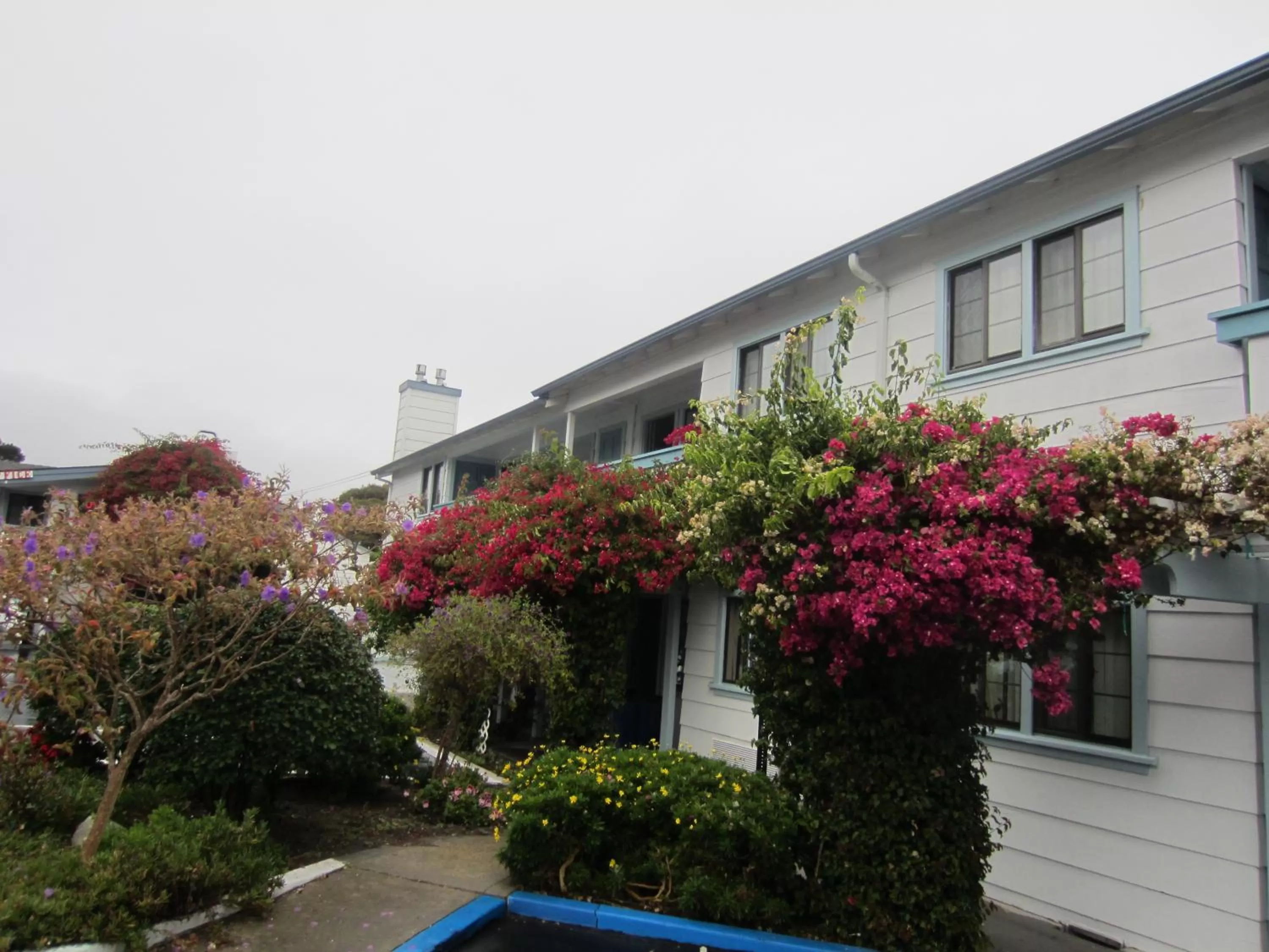 Facade/entrance in Arbor Inn Monterey
