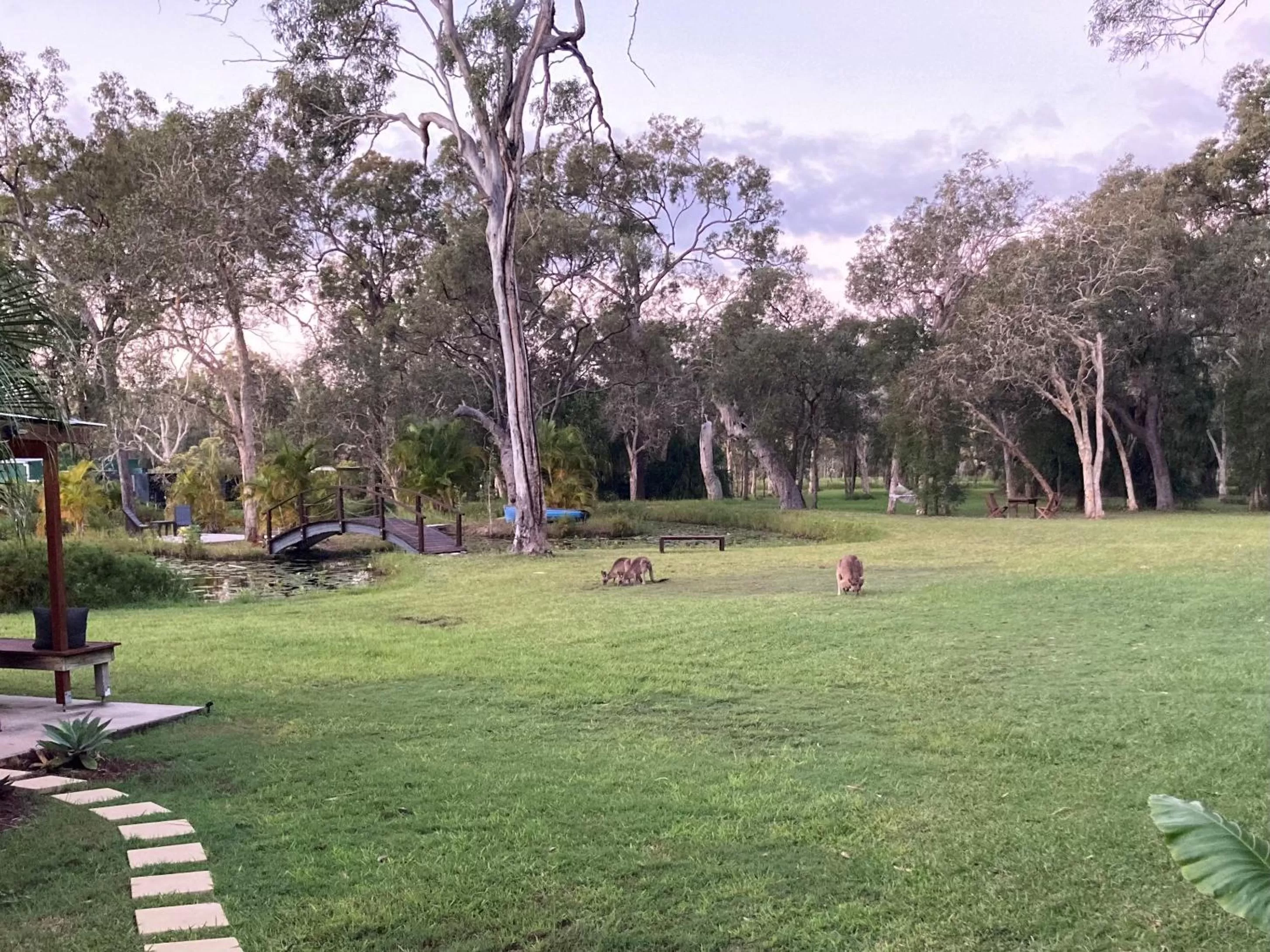 Garden view in Agnes Water Stays over18's