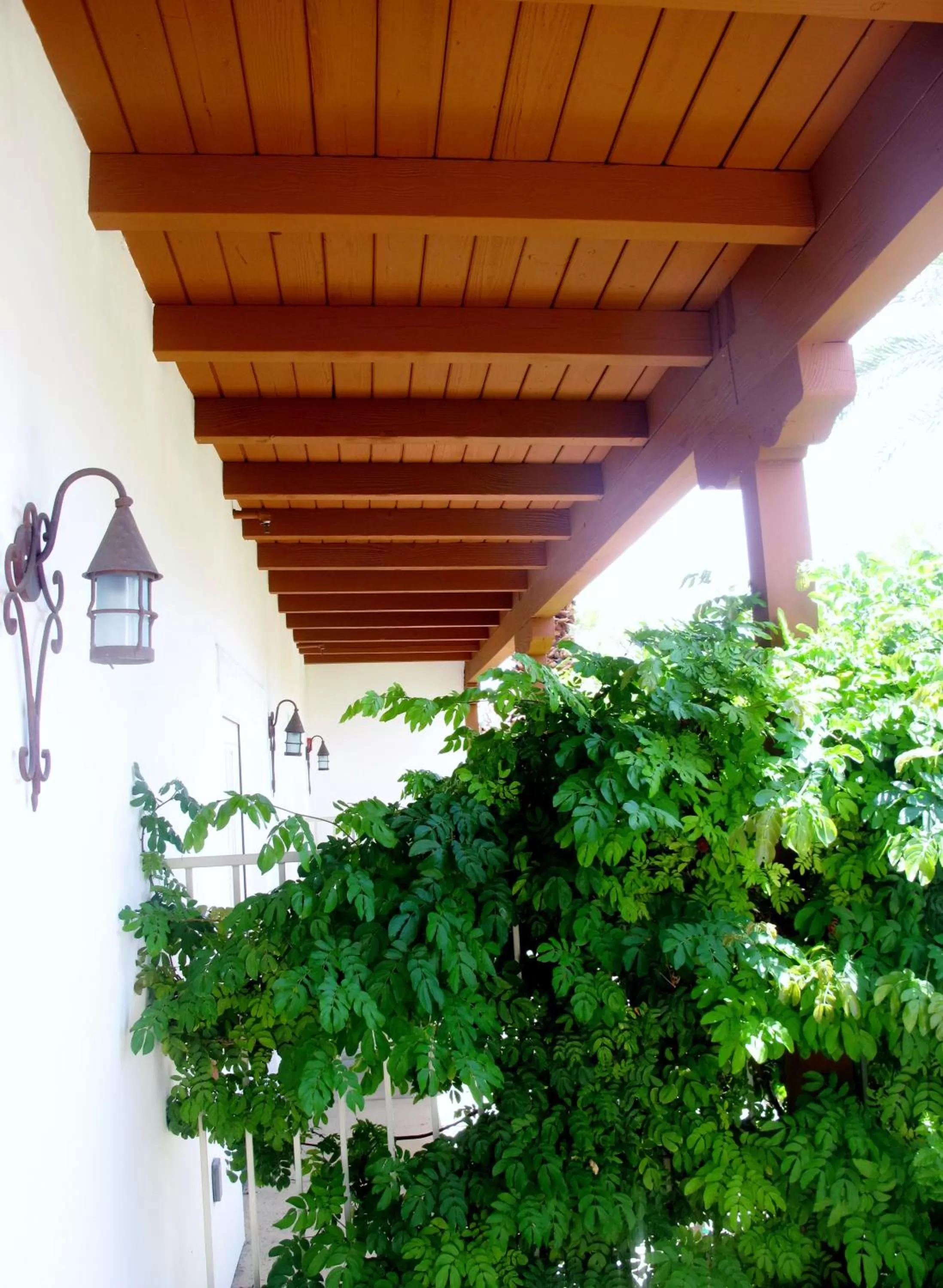 Day in Alcazar Palm Springs