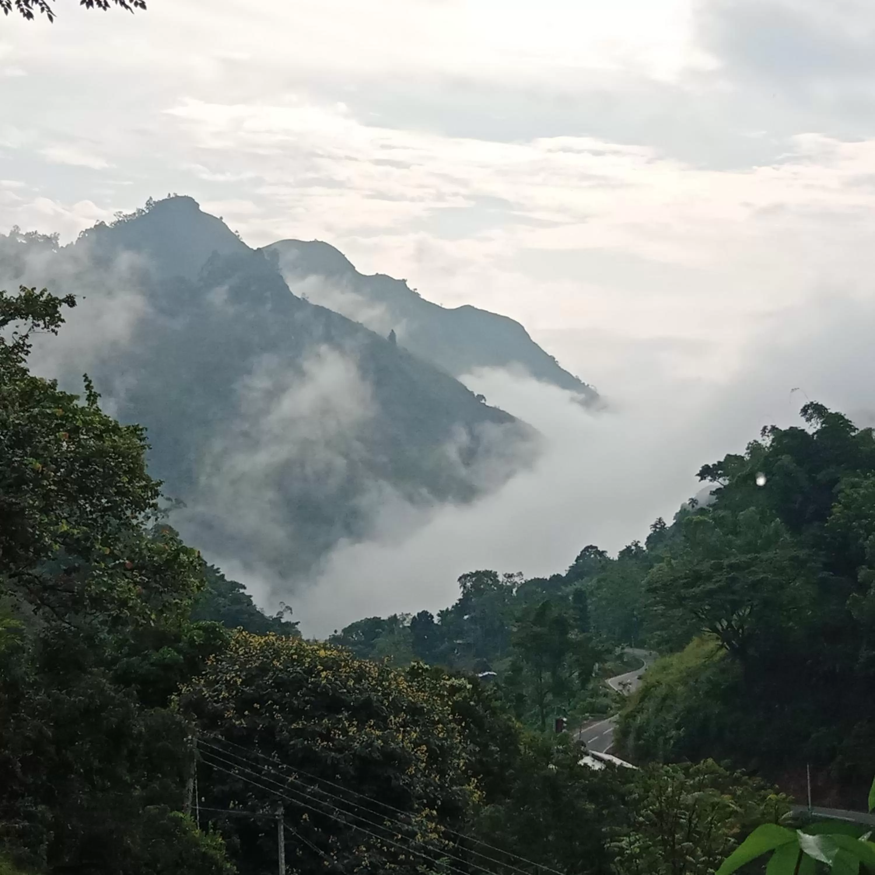 Natural Landscape in Ella Lucky Panoramic