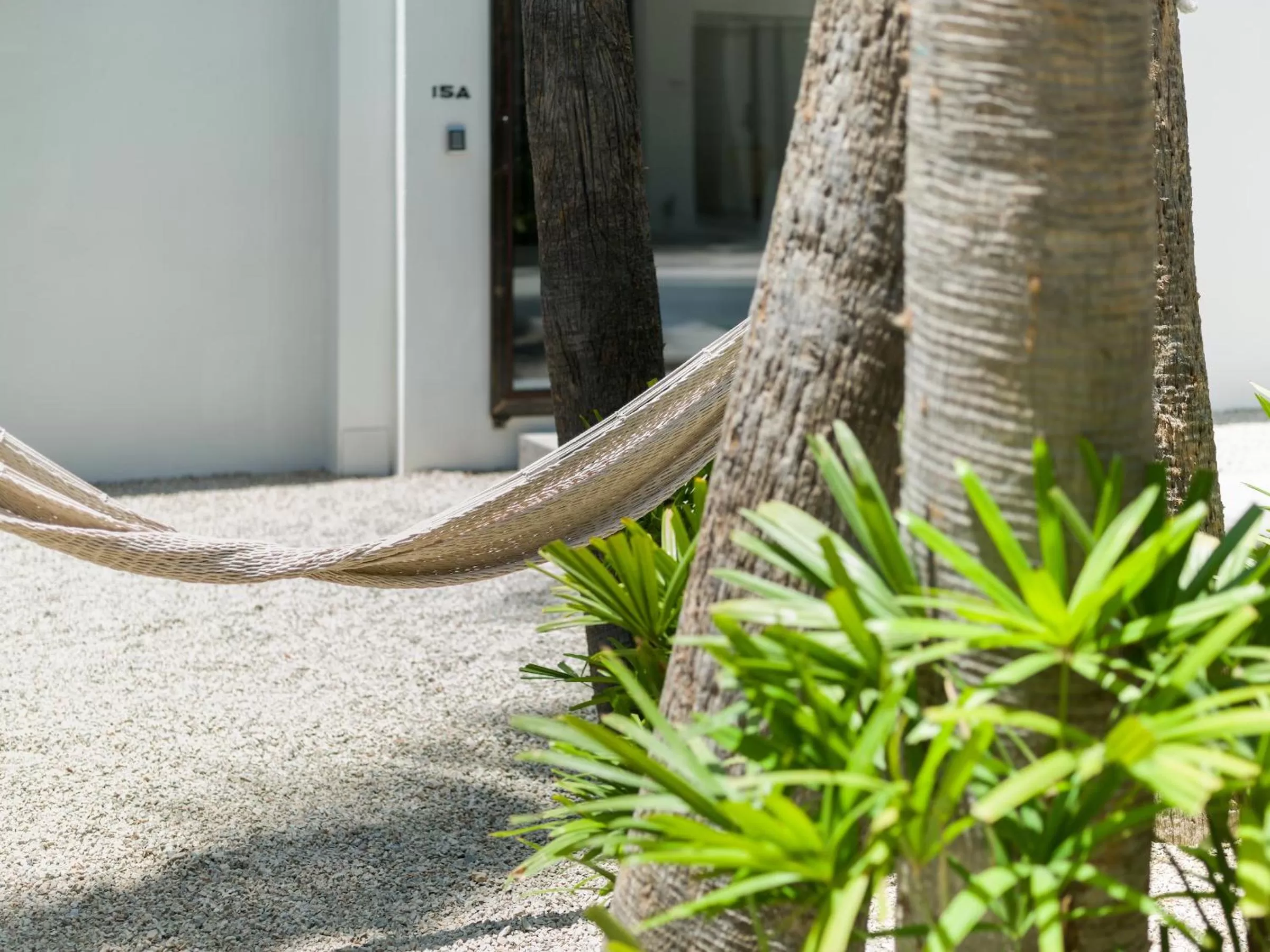 Property building in Drift San Jose del Cabo, a Member of Design Hotels