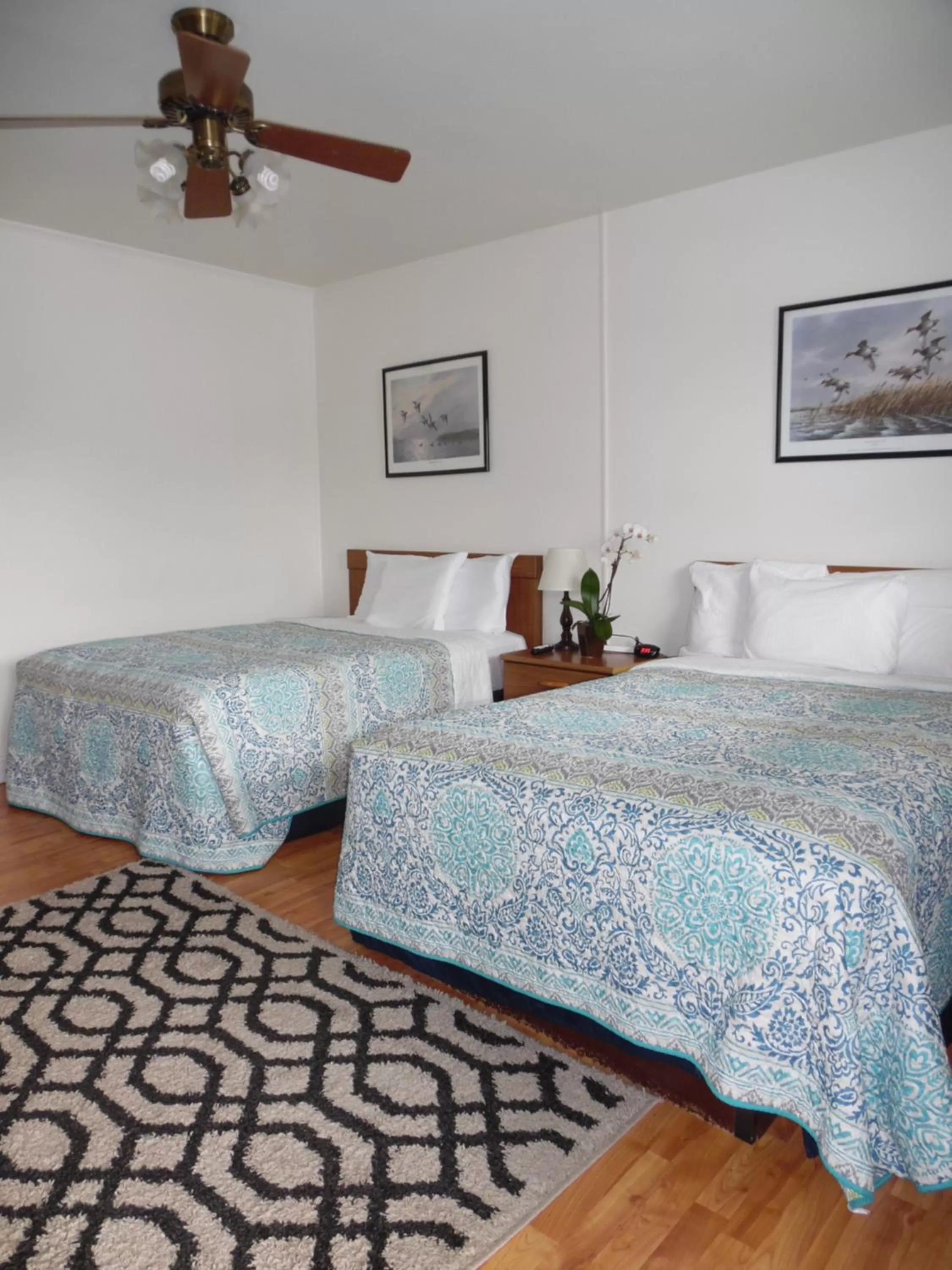 Bed in Wachapreague Inn - Motel Rooms