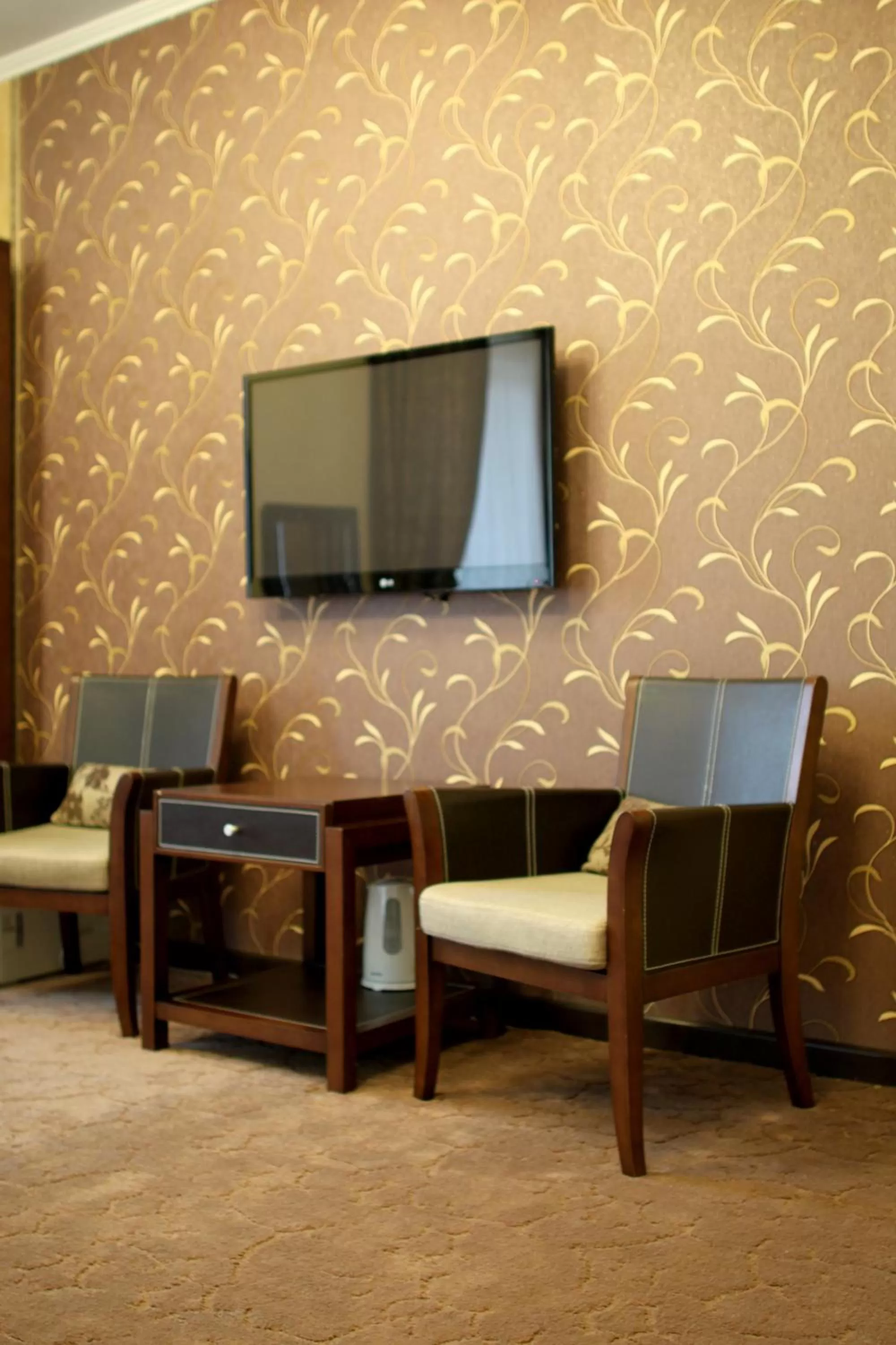 Photo of the whole room, TV/Entertainment Center in Totem Hotel