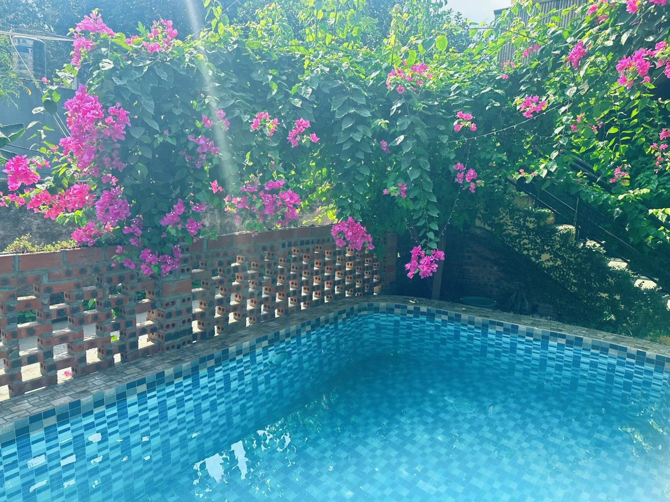 Swimming Pool in Trang An Moon Garden Homestay