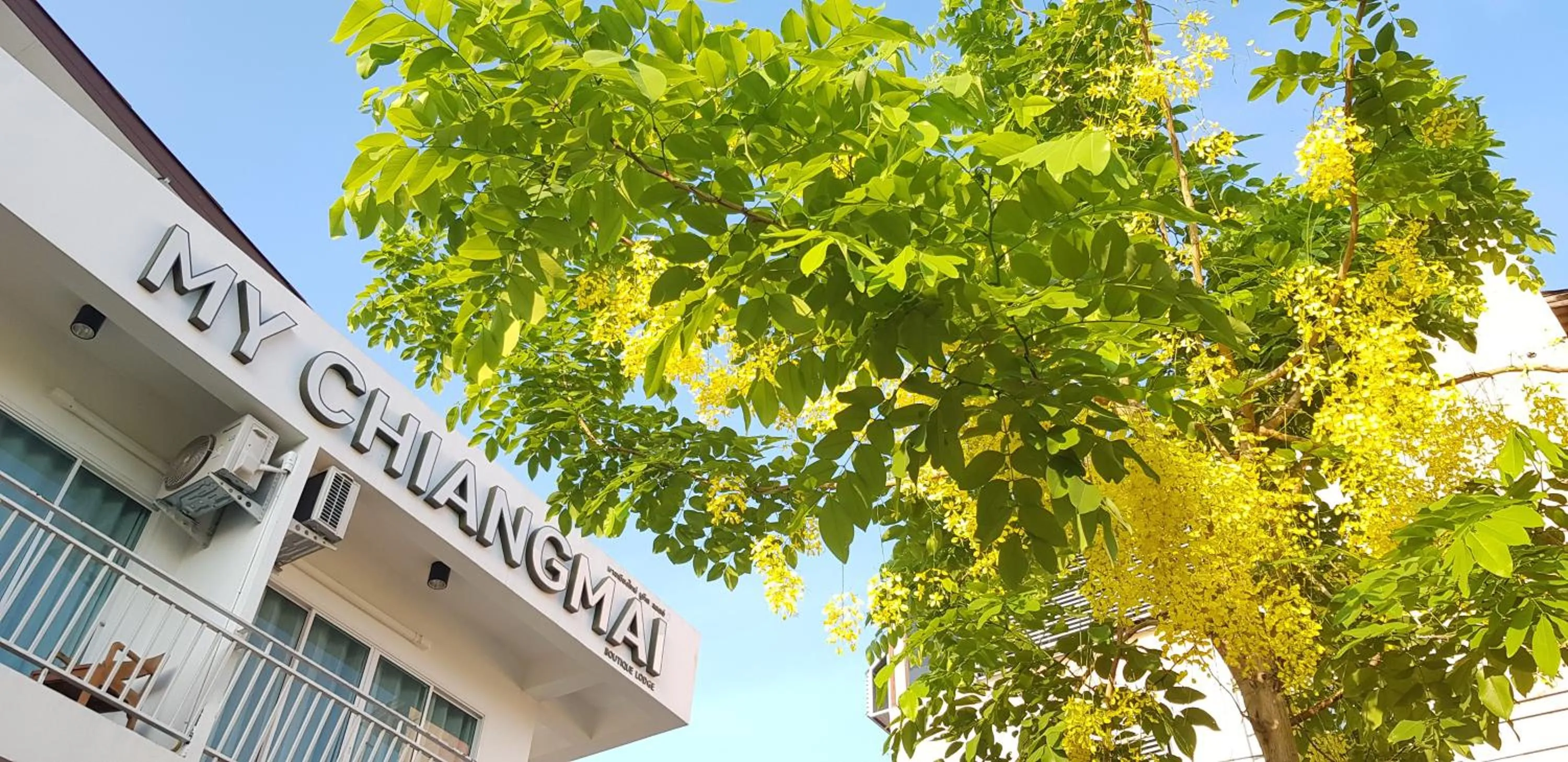 Natural landscape in My Chiangmai Boutique Lodge