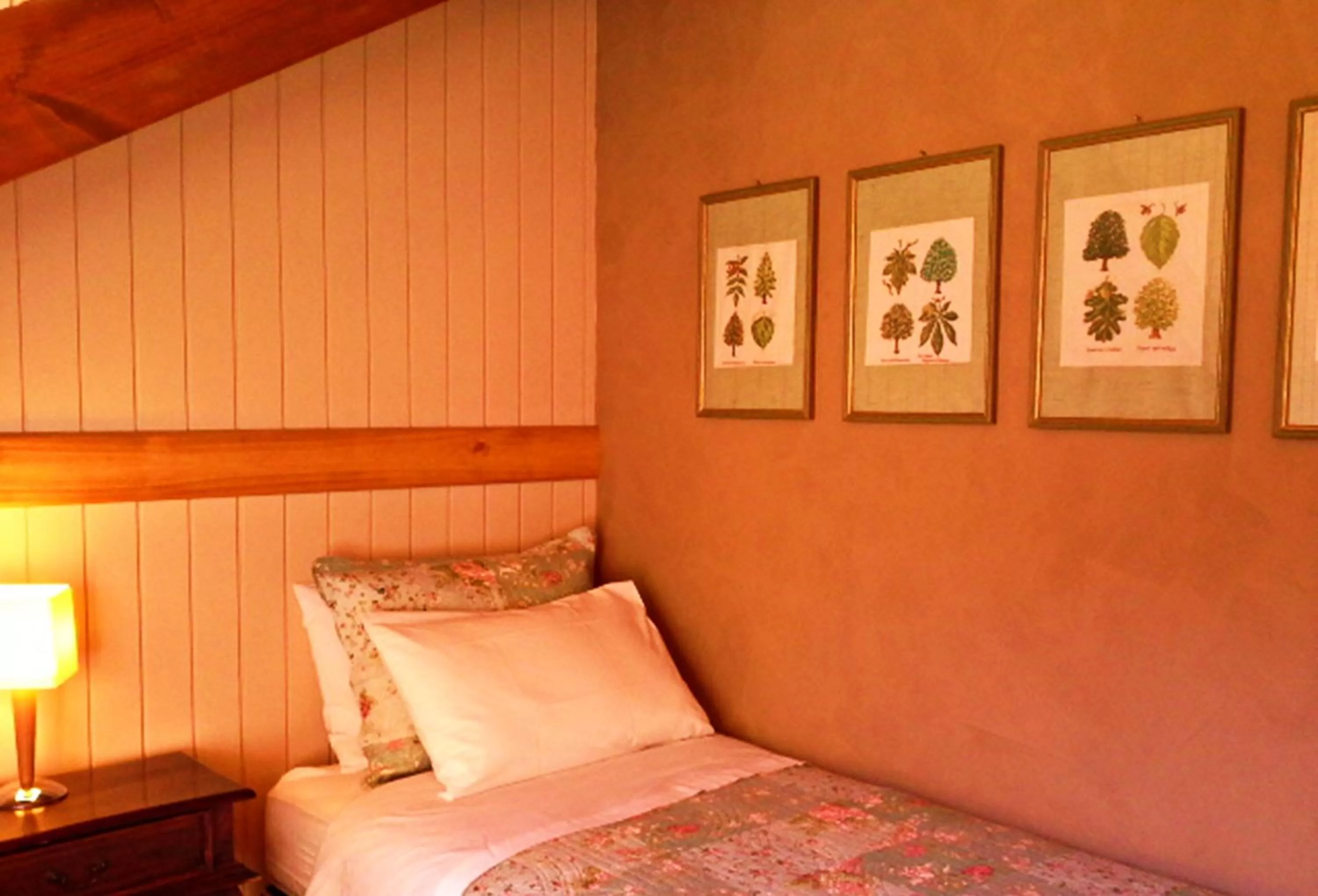 Bed in Hotel Salto del Carileufu