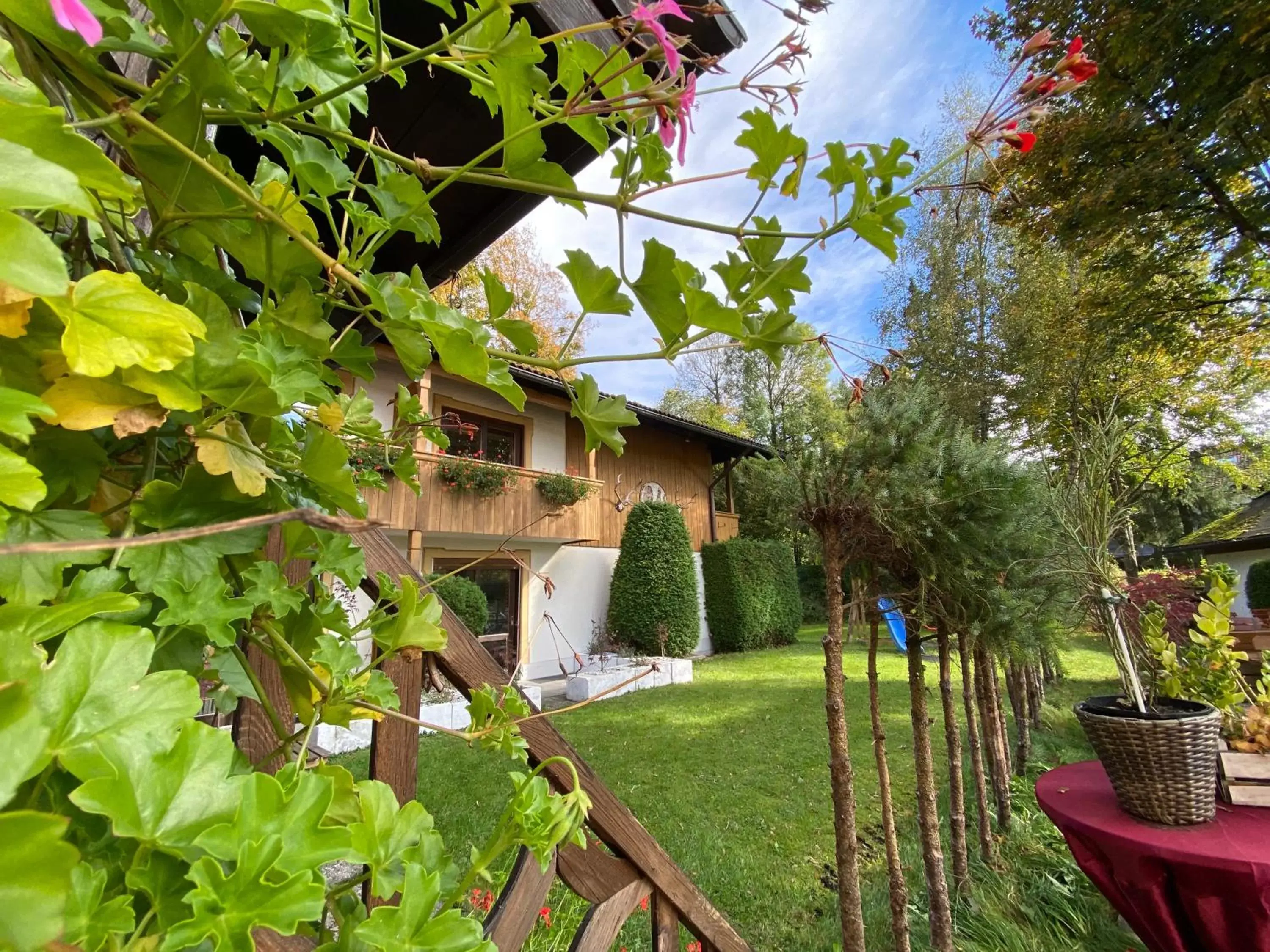 Landgasthof zum Papyrer - Erholung im Urlaubsgebiet Landgasthof zum Papyrer - Erholung im Urlaubsgebiet