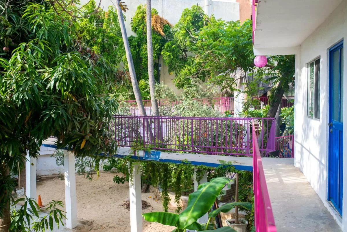 Patio in Hotel Posada Señor Mañana