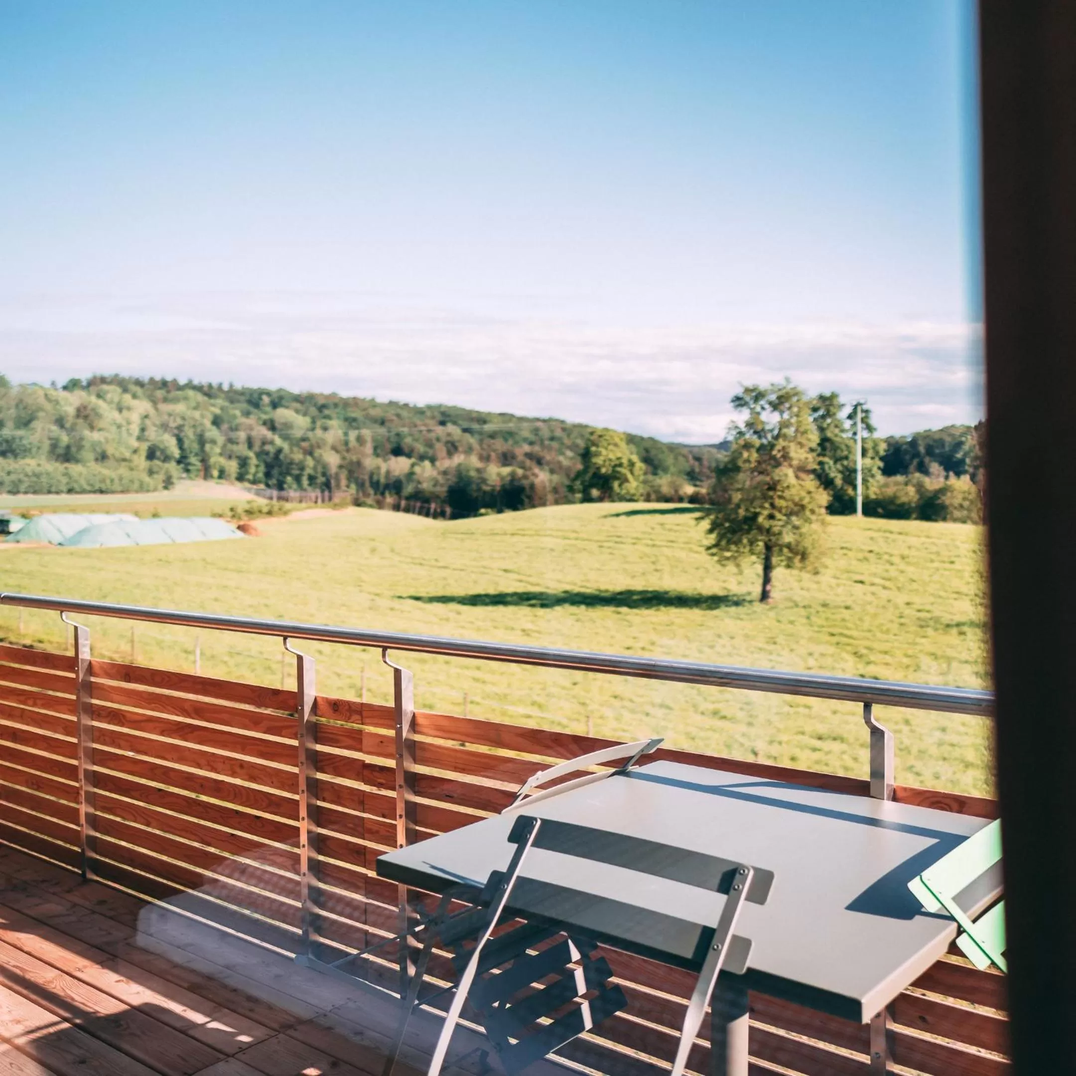 View (from property/room) in Gut Hügle Erlebnishof & Spa