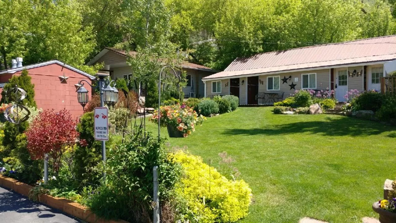 Property Building in Alpaca Inn