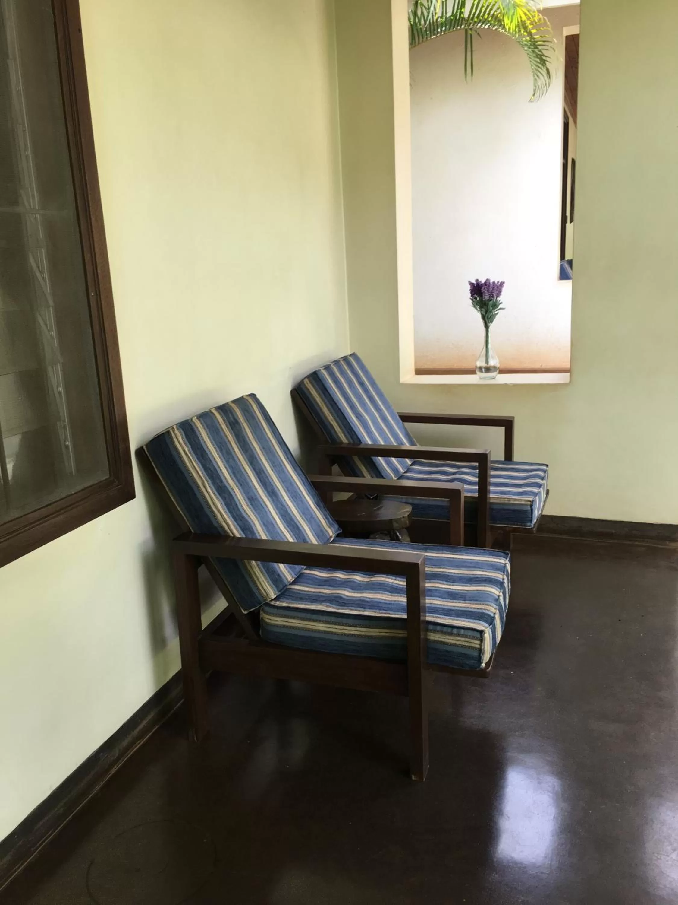 Patio, Seating Area in Bristol Cottages Kilimanjaro