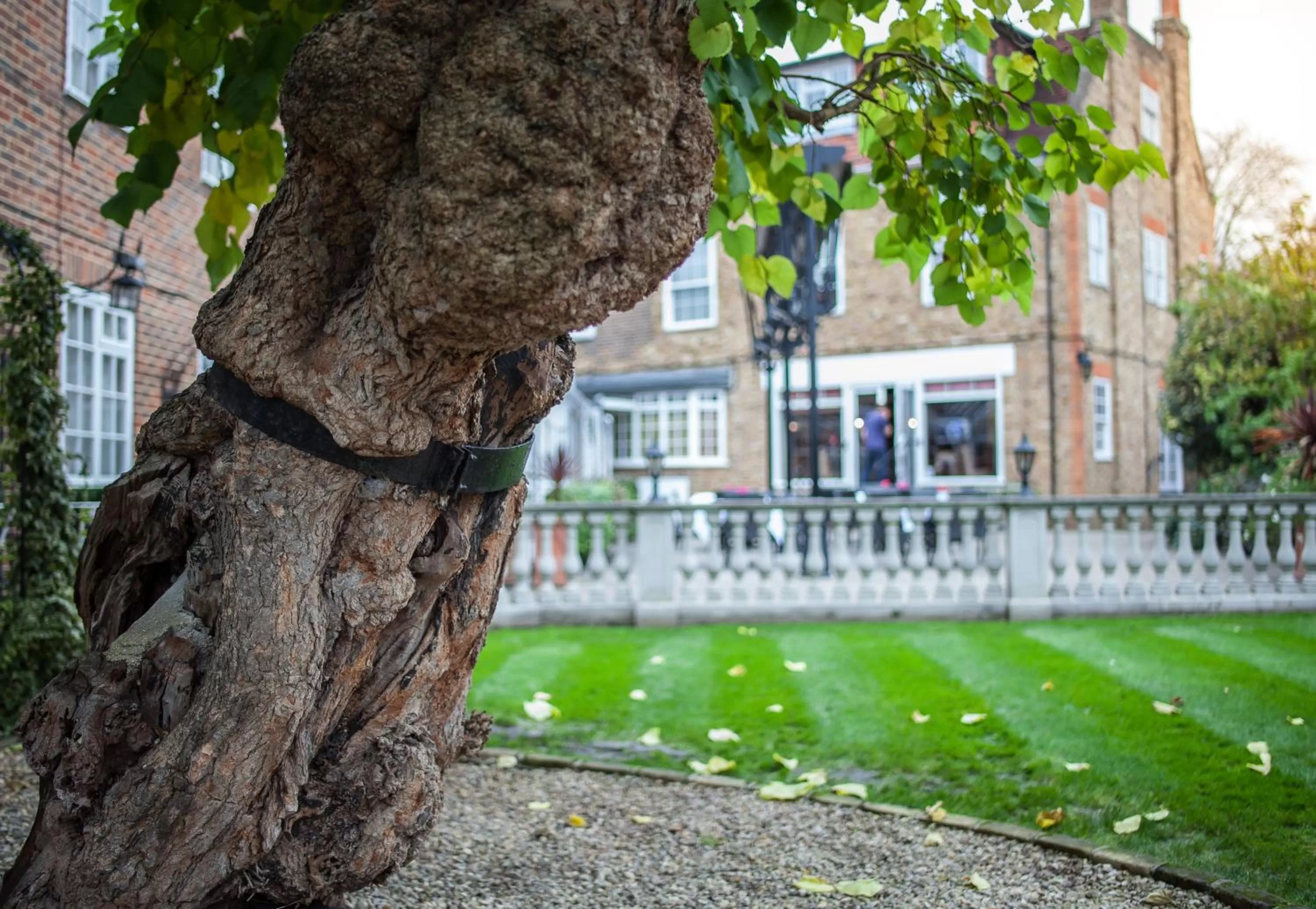 Garden in Warren Lodge