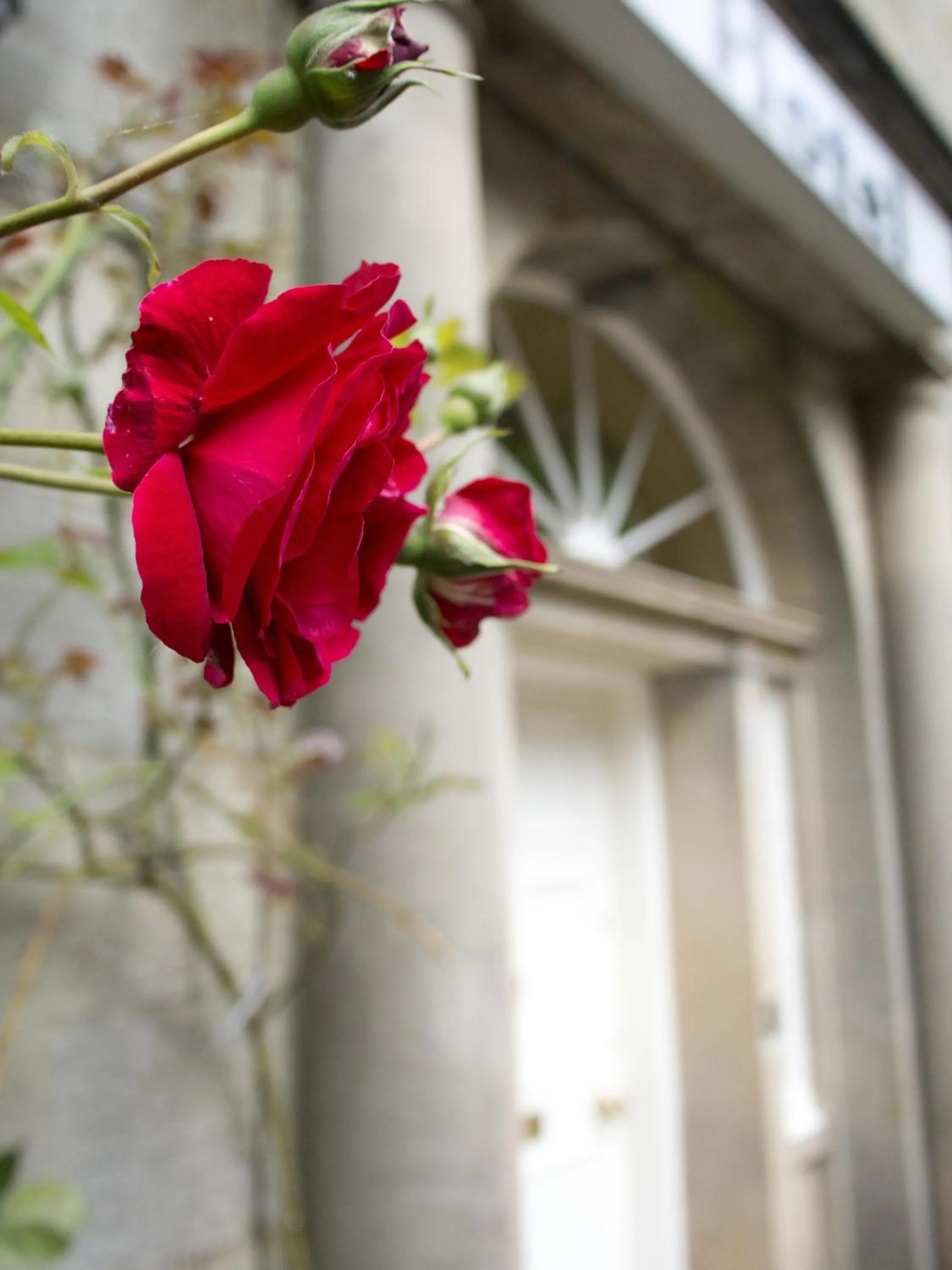 Lobby or reception in Bankton House