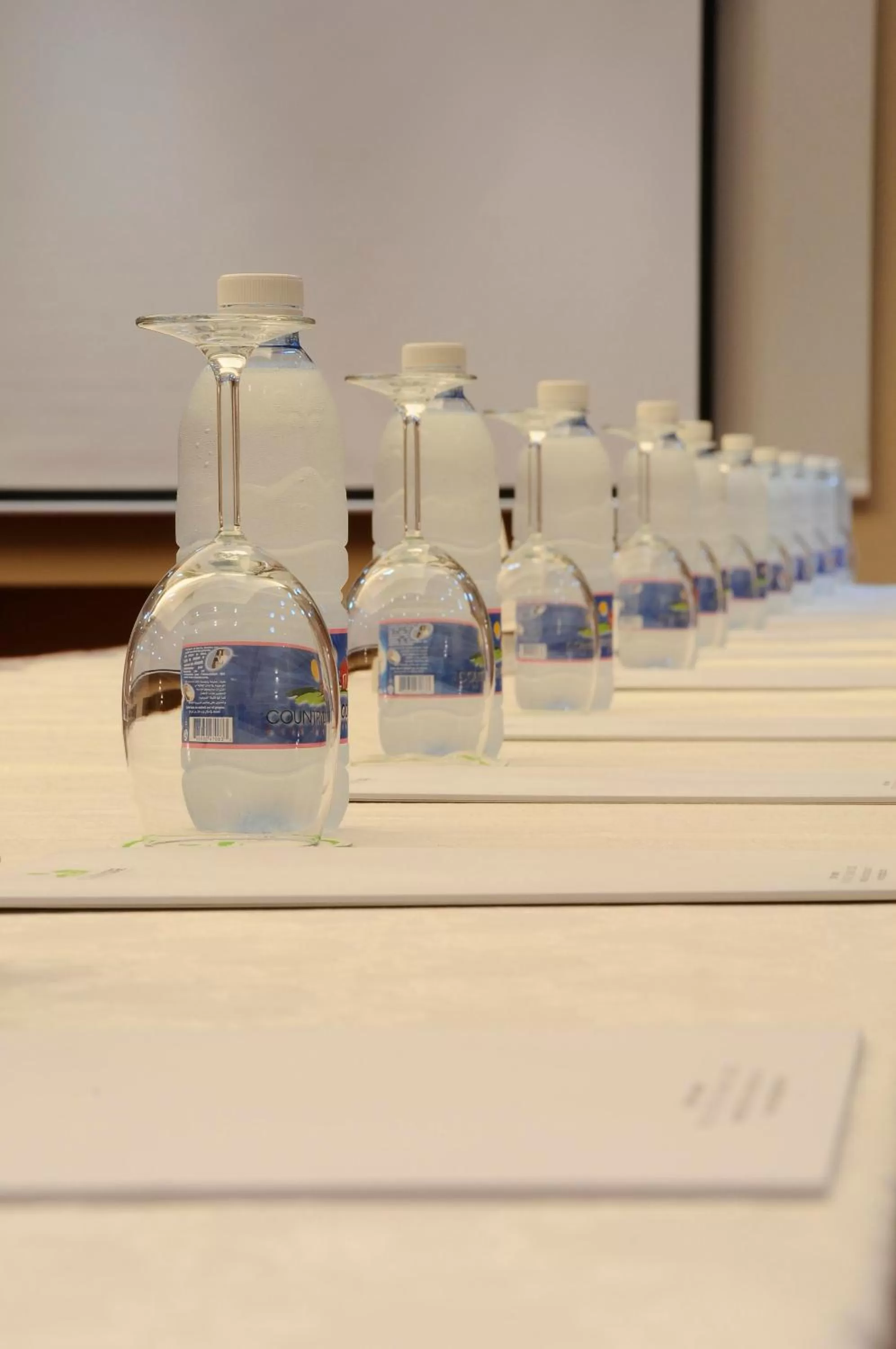 Business facilities in Country Lodge Hotel & Resort Beirut