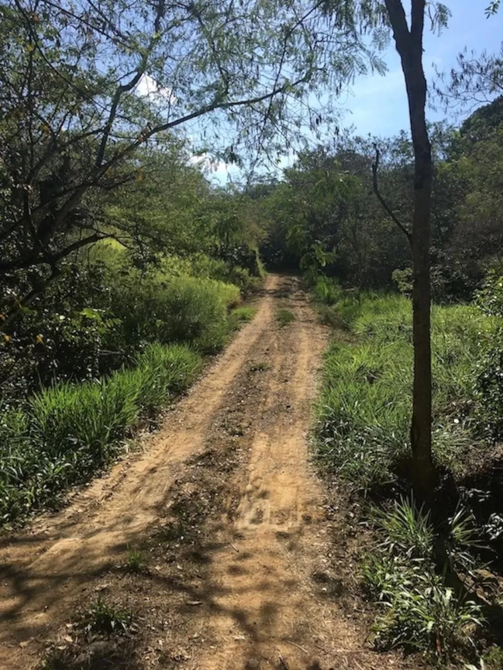 Decorative detail in Finca San Pedro
