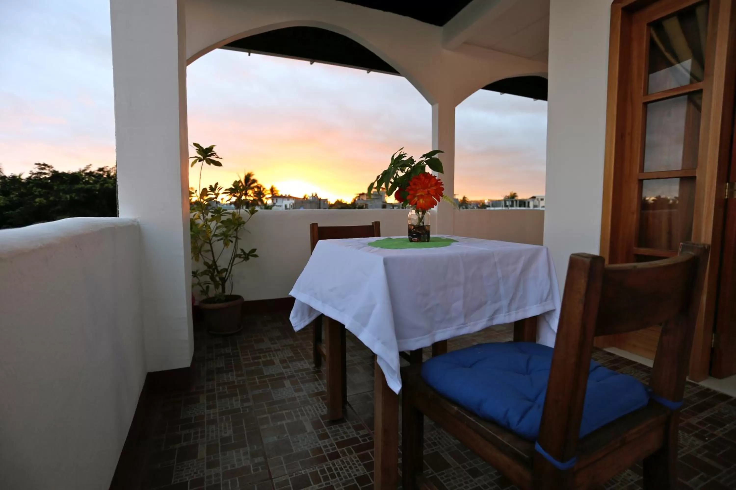 Balcony/Terrace in The Galapagos Pearl B&B