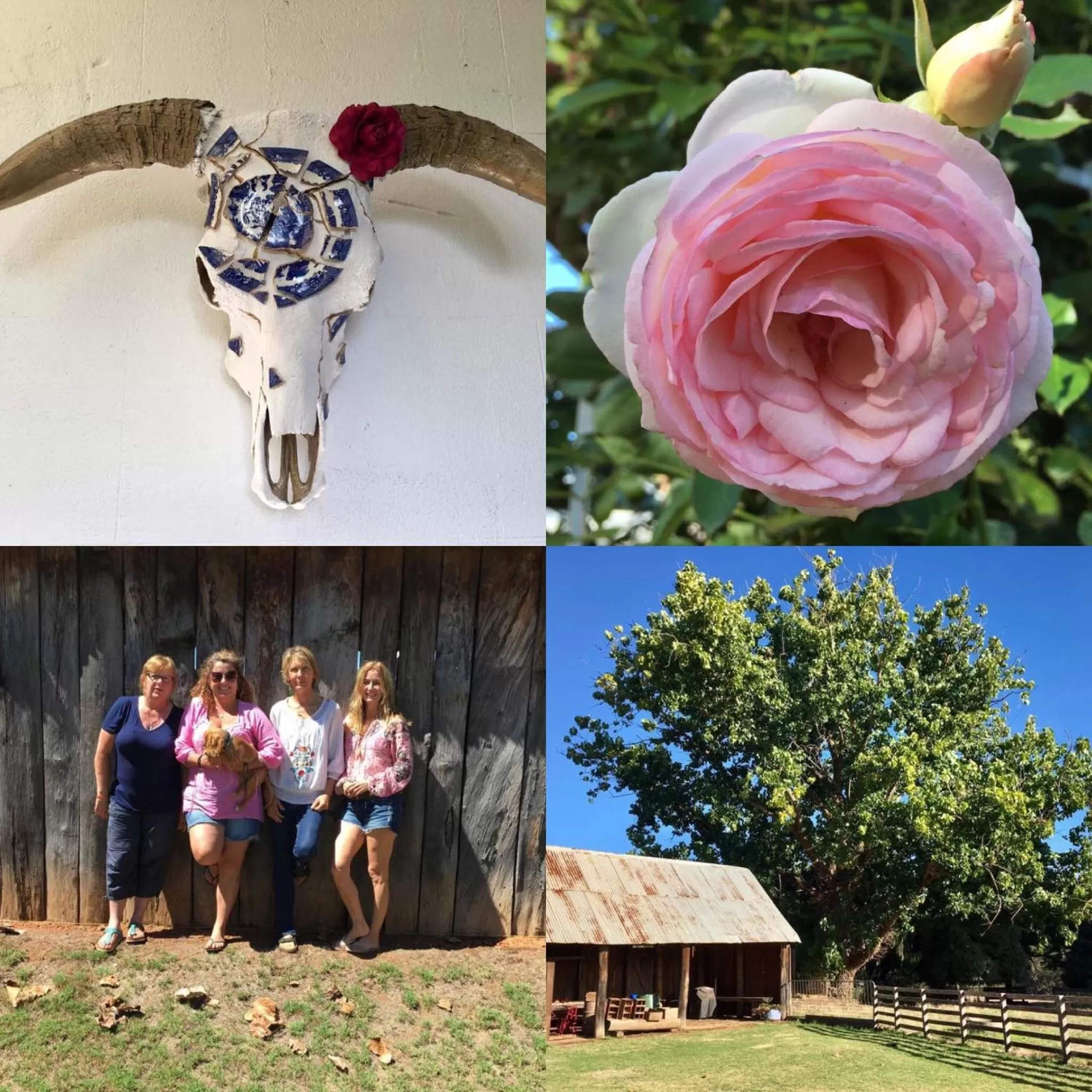 On site, Children in Dingup House