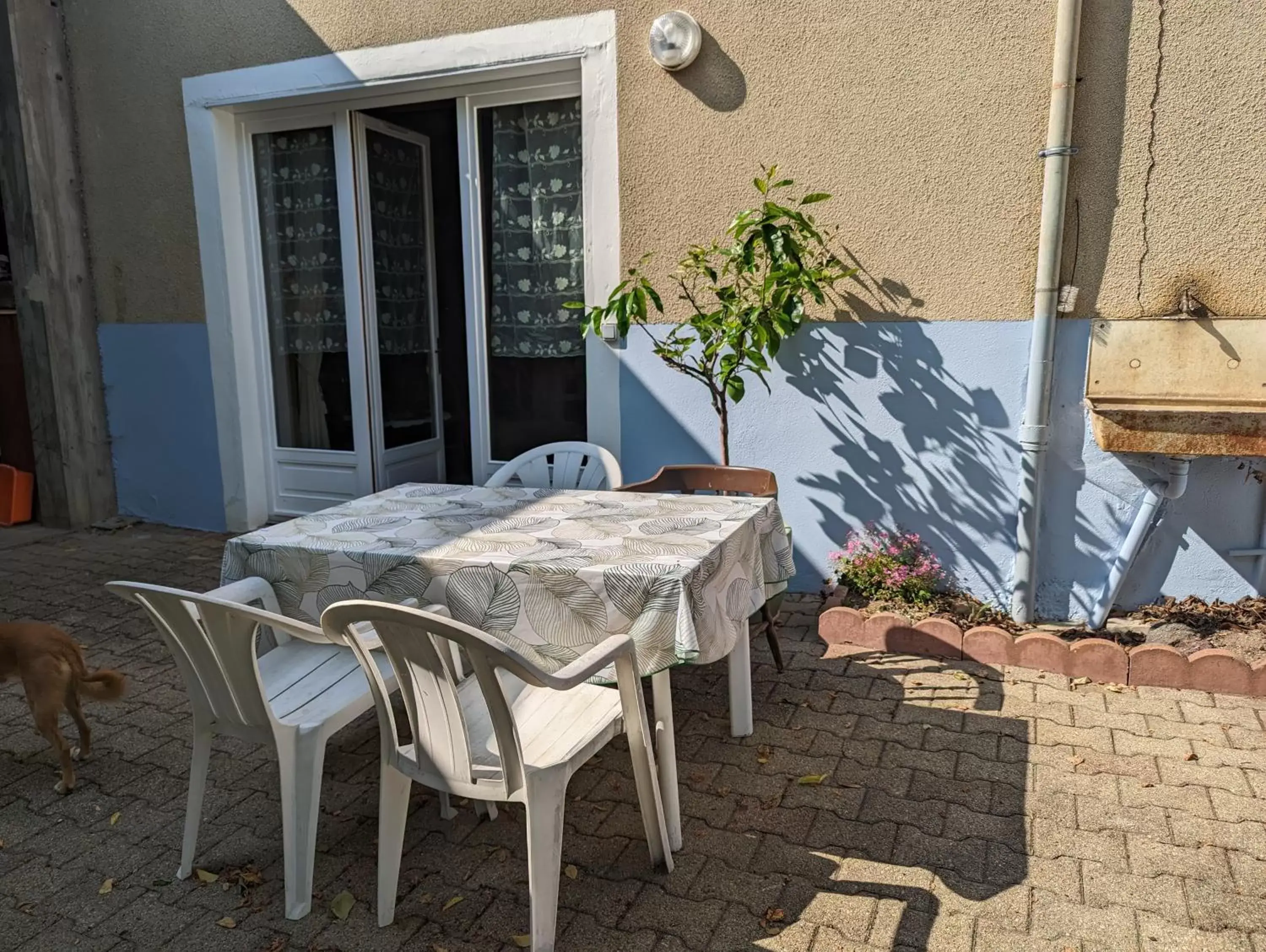 Double Room in Domaine viticole Philippe Deschamps Double Room in Domaine viticole Philippe Deschamps