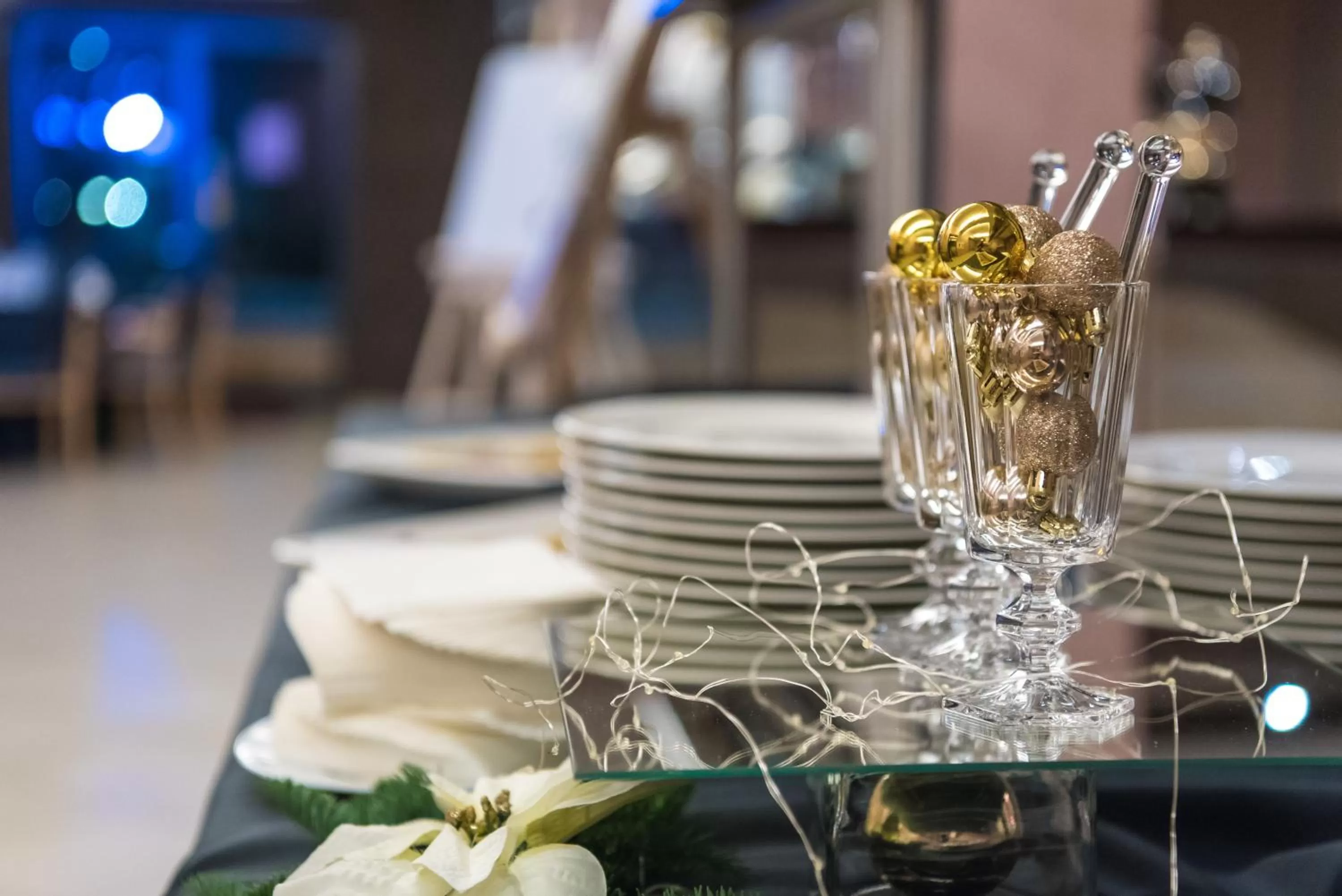 Lounge or bar in Hotel Tigra