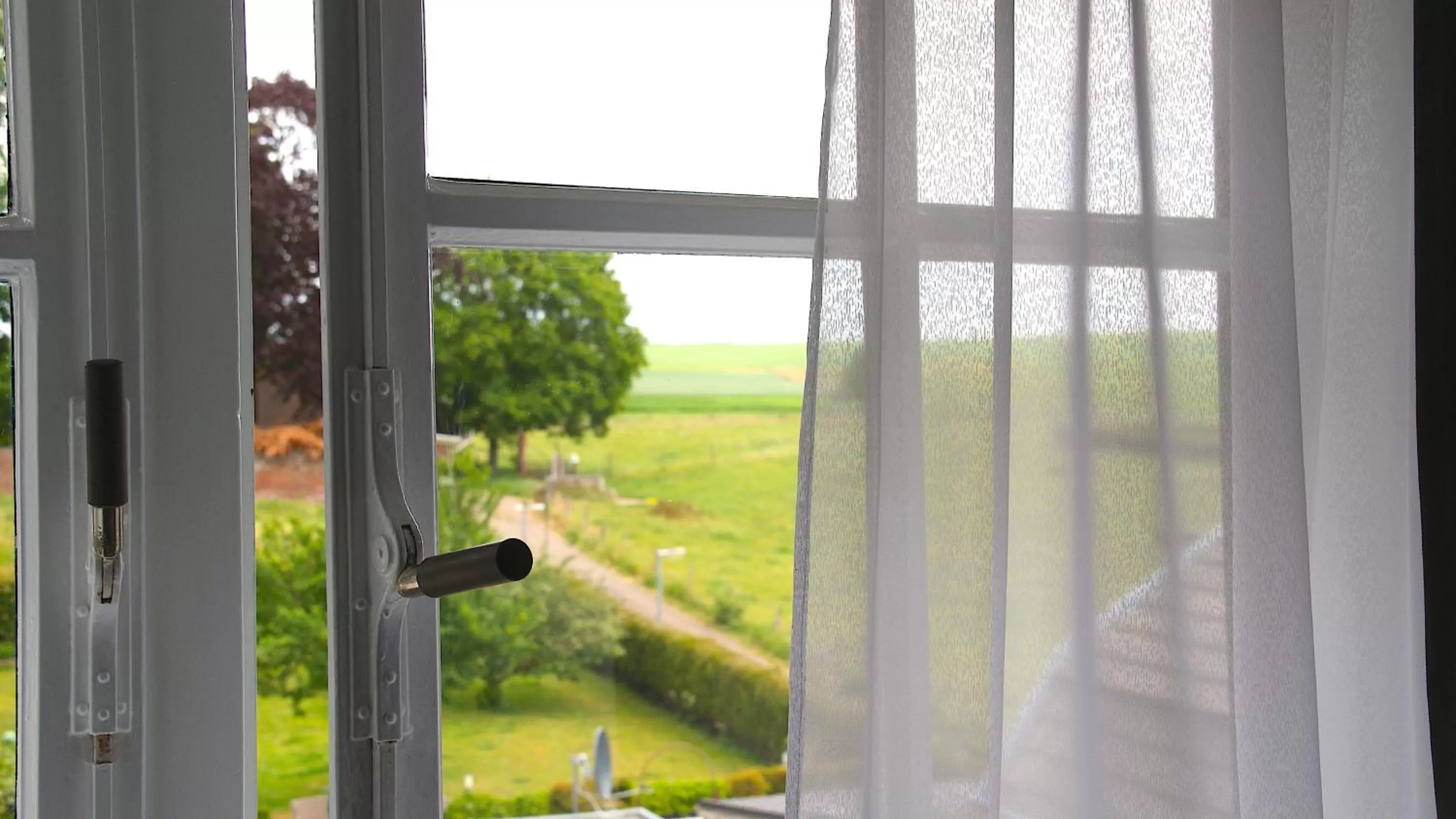 Day in In den Roden Leeuw van Limburg