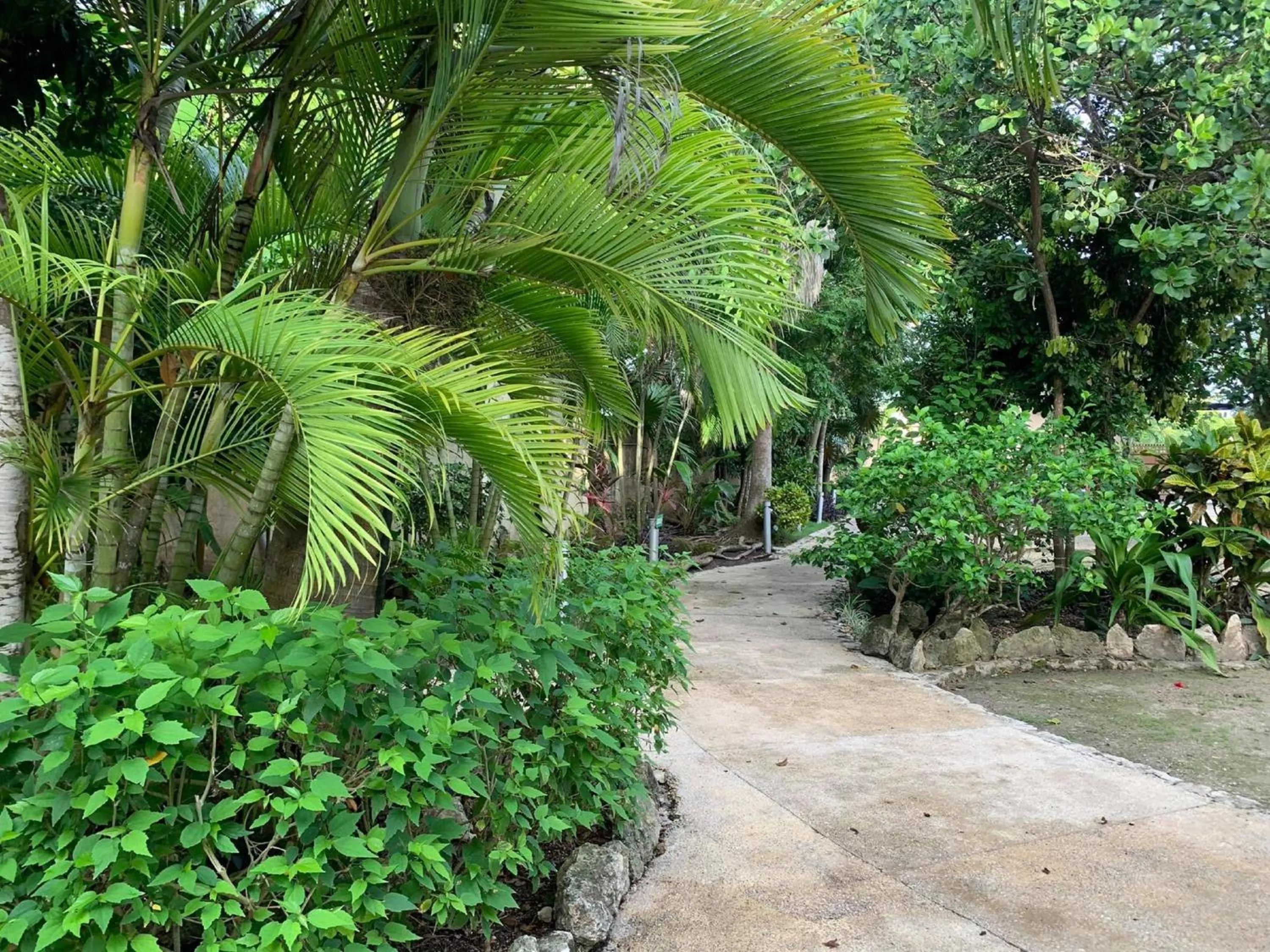 Garden in Villas Bakalar