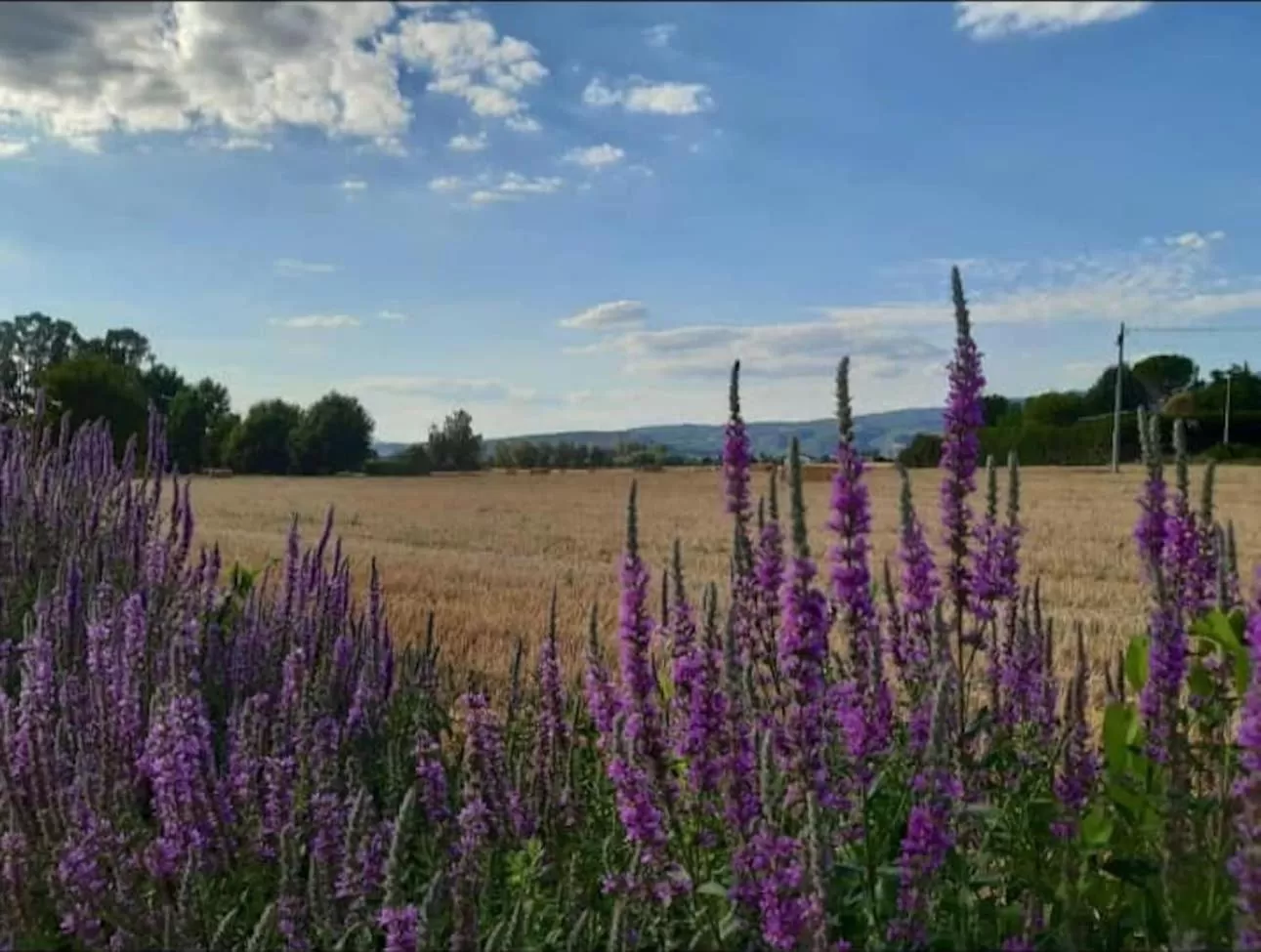View (from property/room) in Il Casale dei Nonni