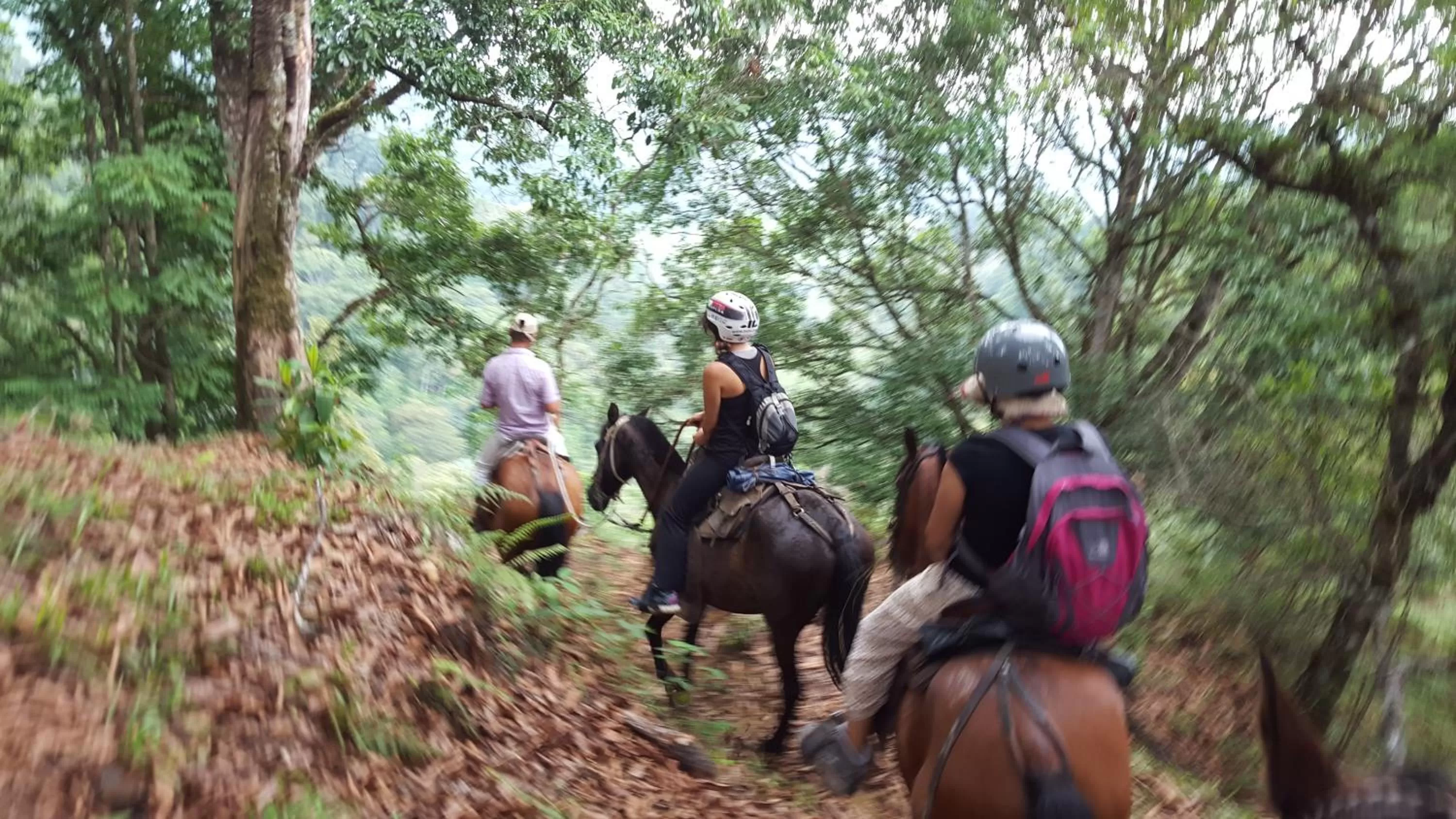 Off site, Horseback Riding in Beta Hotel