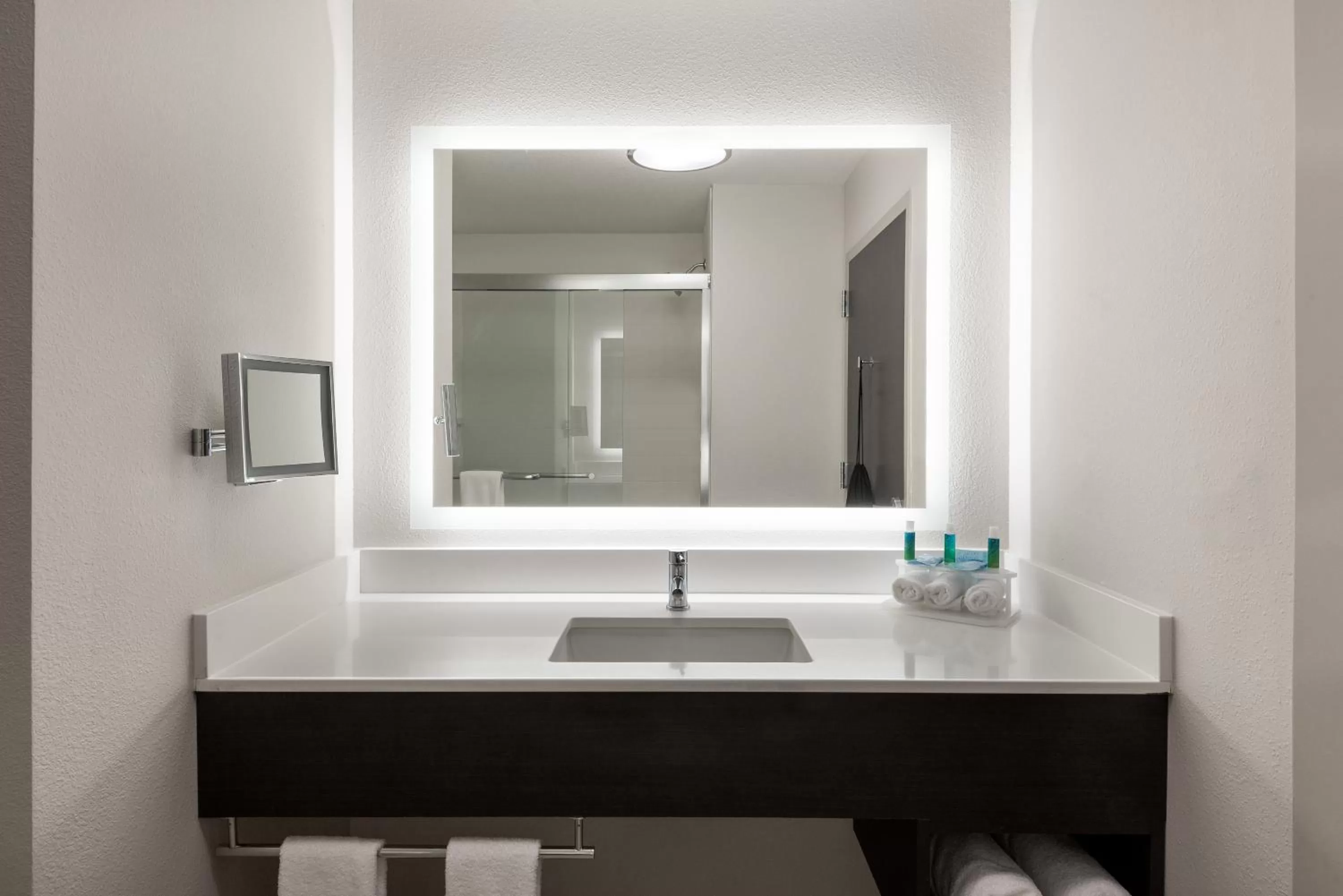 Bathroom in Holiday Inn Express & Suites Lakeland South by IHG
