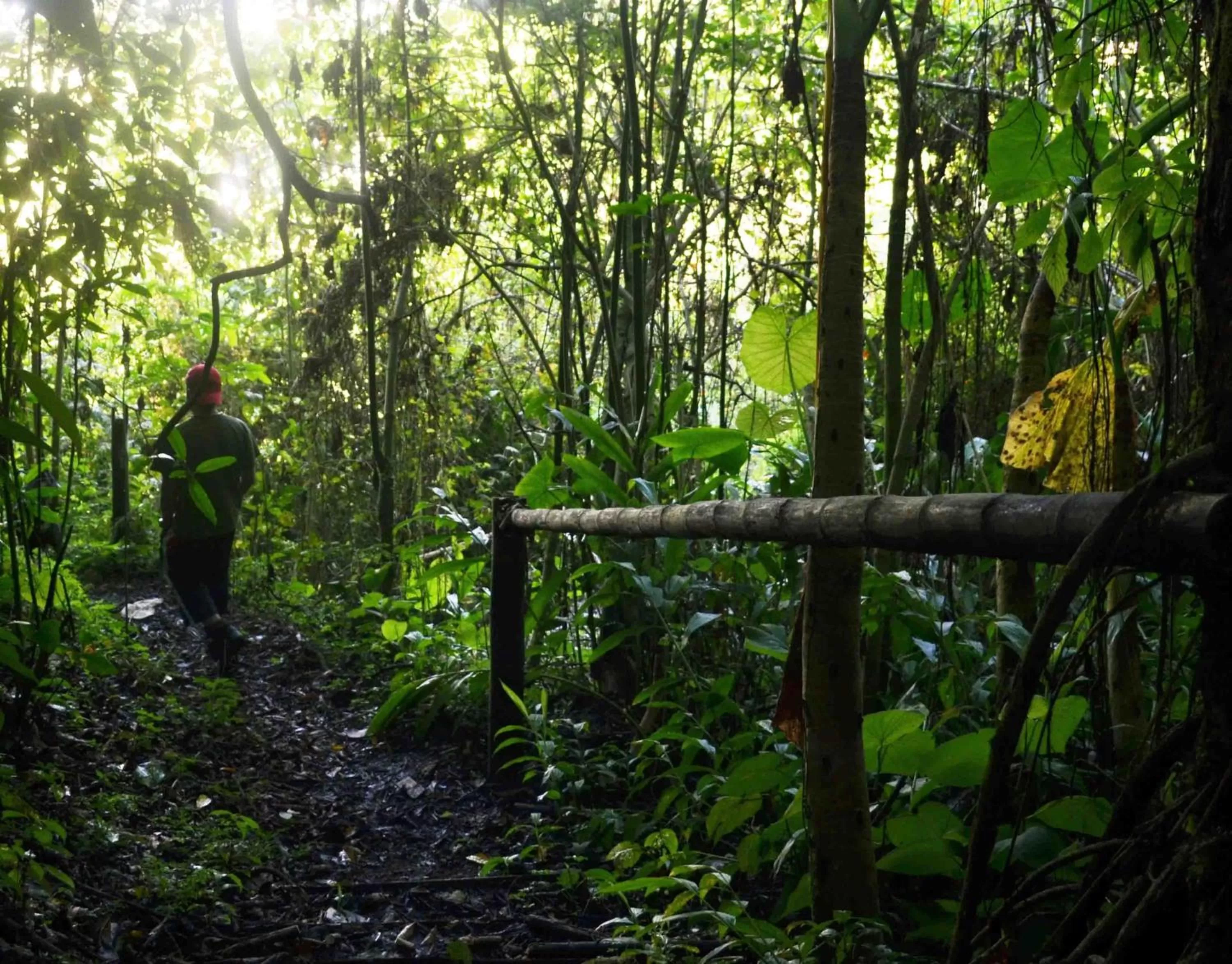 Facade/entrance in Eco Lodge La Juanita