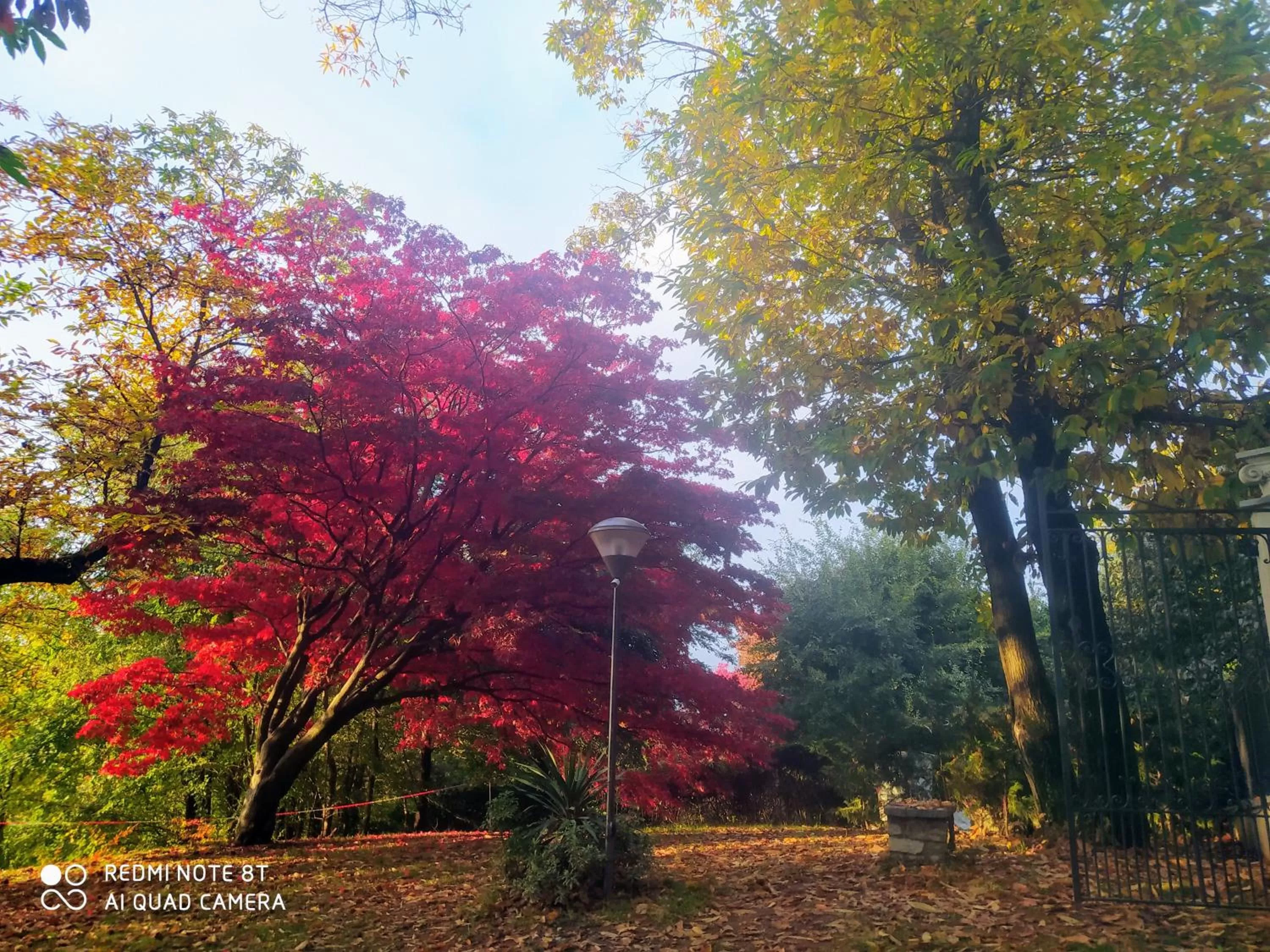 "La Selvetta" bed and breakfast