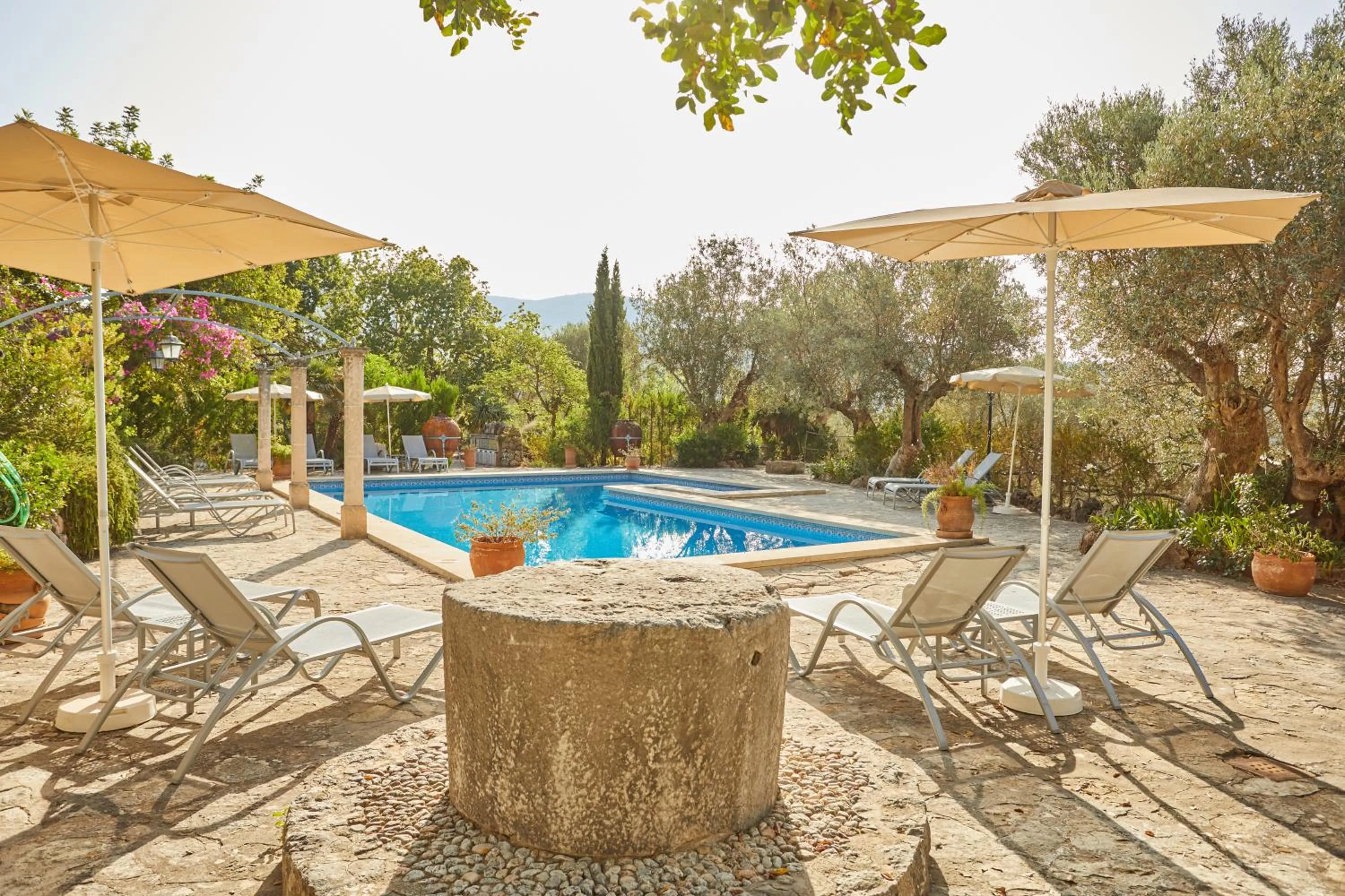 Swimming pool in Agroturismo Alquería Blanca