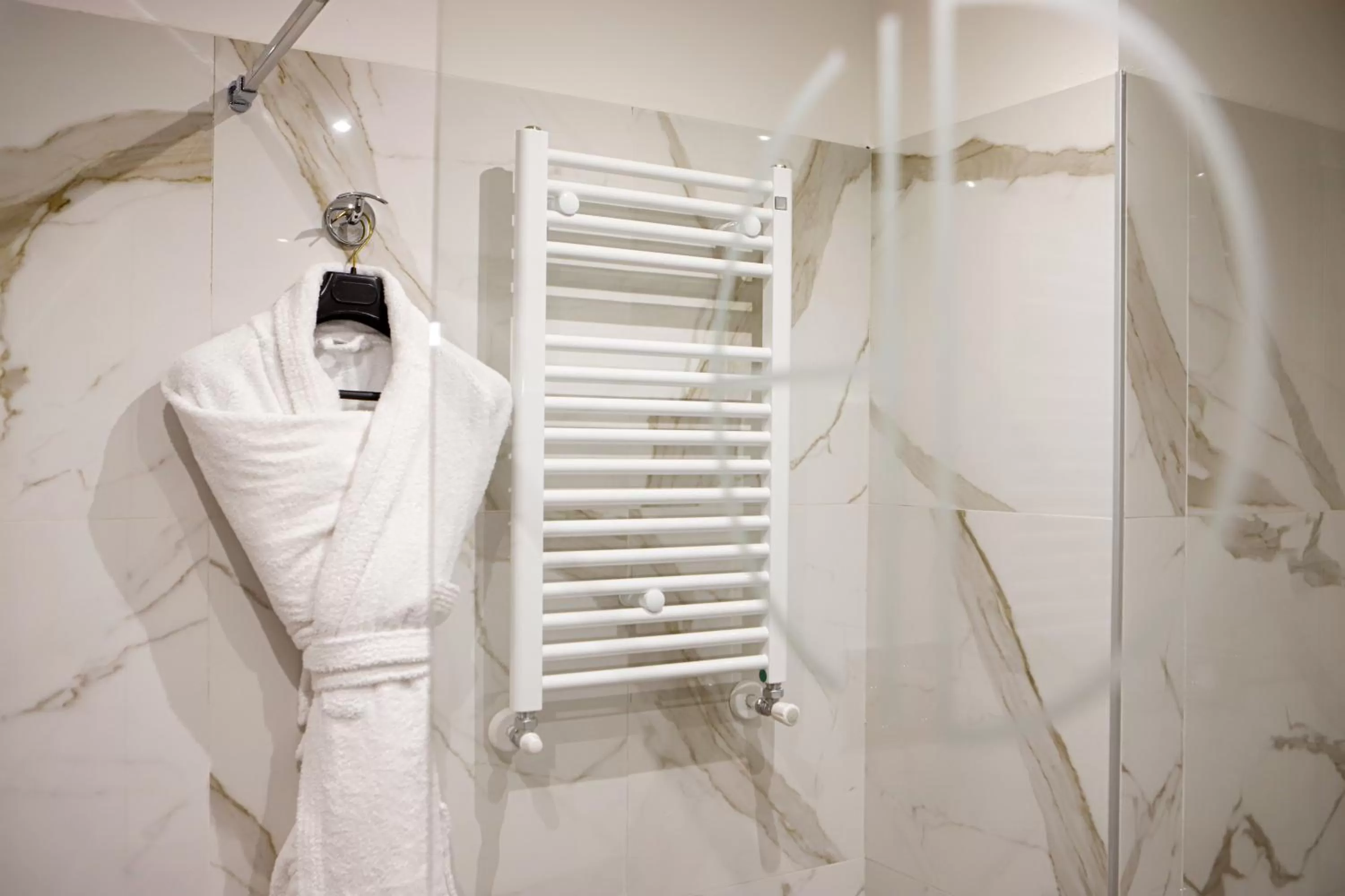 Shower in Hotel Diplomatic